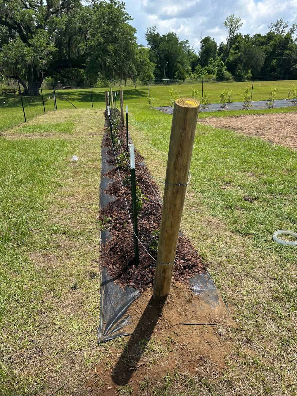 Natural Fence Privacy Walls image