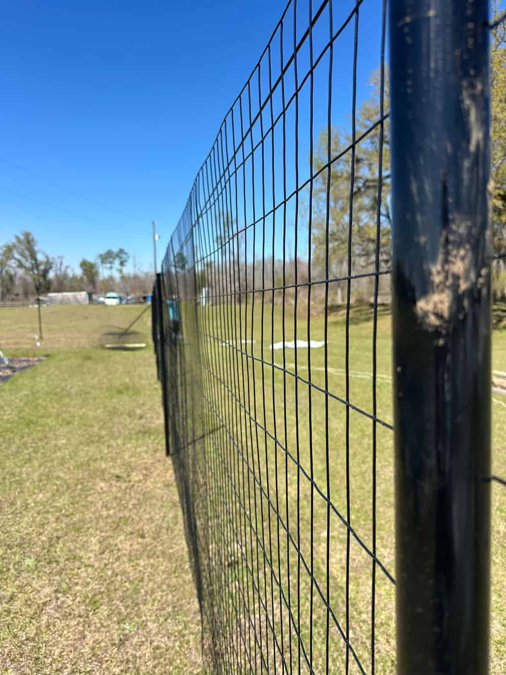 Animal Fencing & Enclosures image