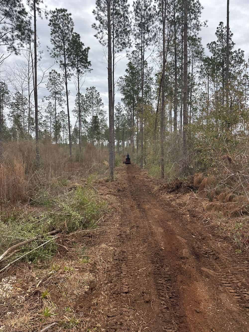 ATV Trail Clearing & Construction image