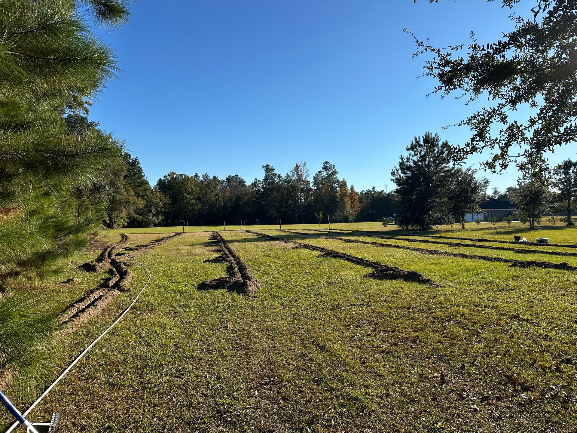 Transformation of Chipley Field into Thriving Orchard