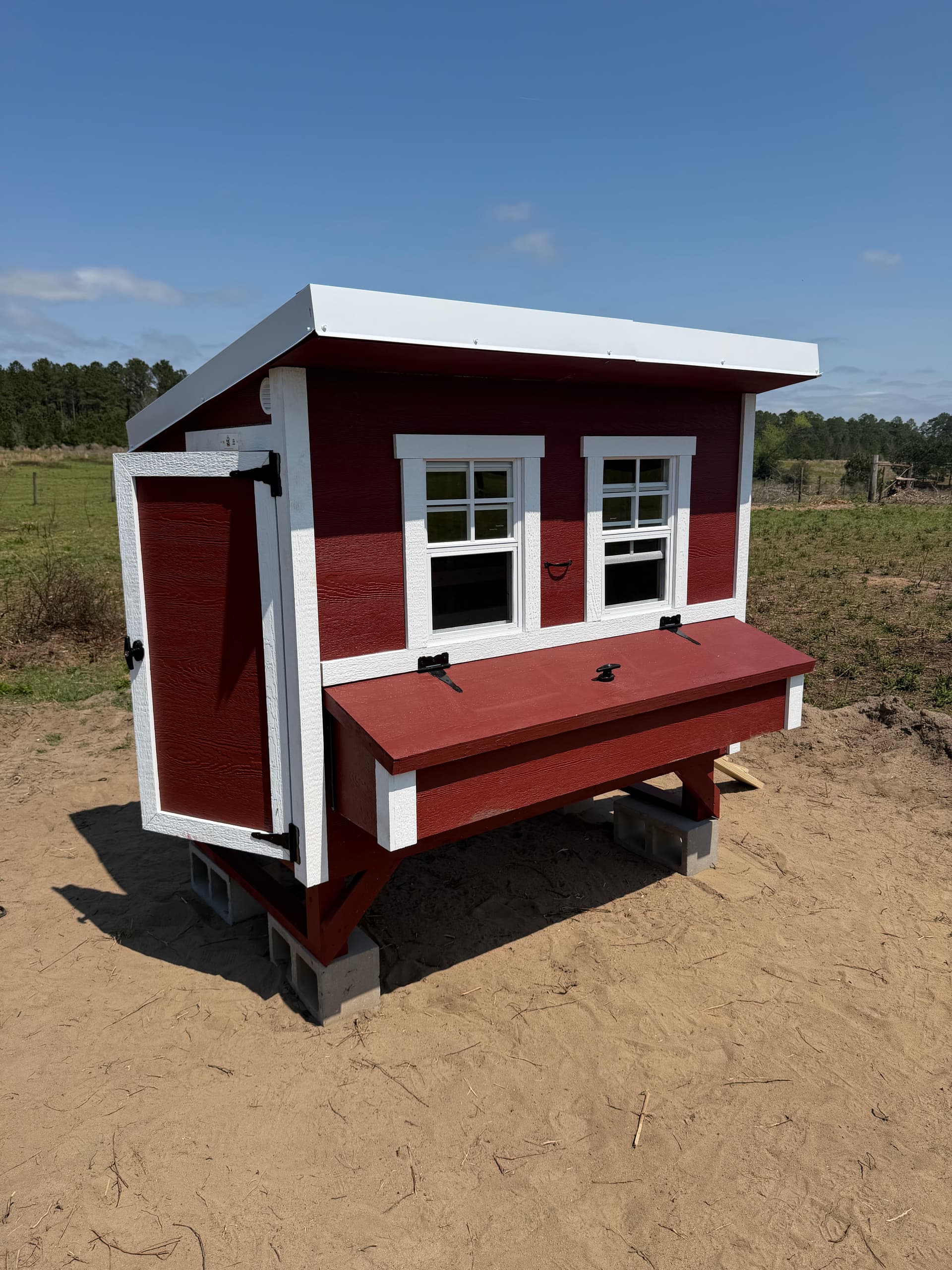 Gallery photos for Transforming Land into a Chicken Paradise in Ponce de Leon: Image #4