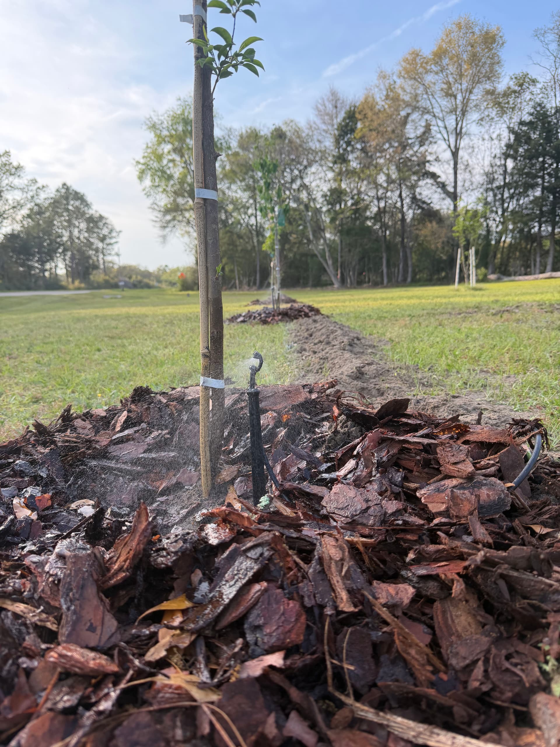 Gallery photos for Orchard and Irrigation System Installation in Caryville Florida: Image #1