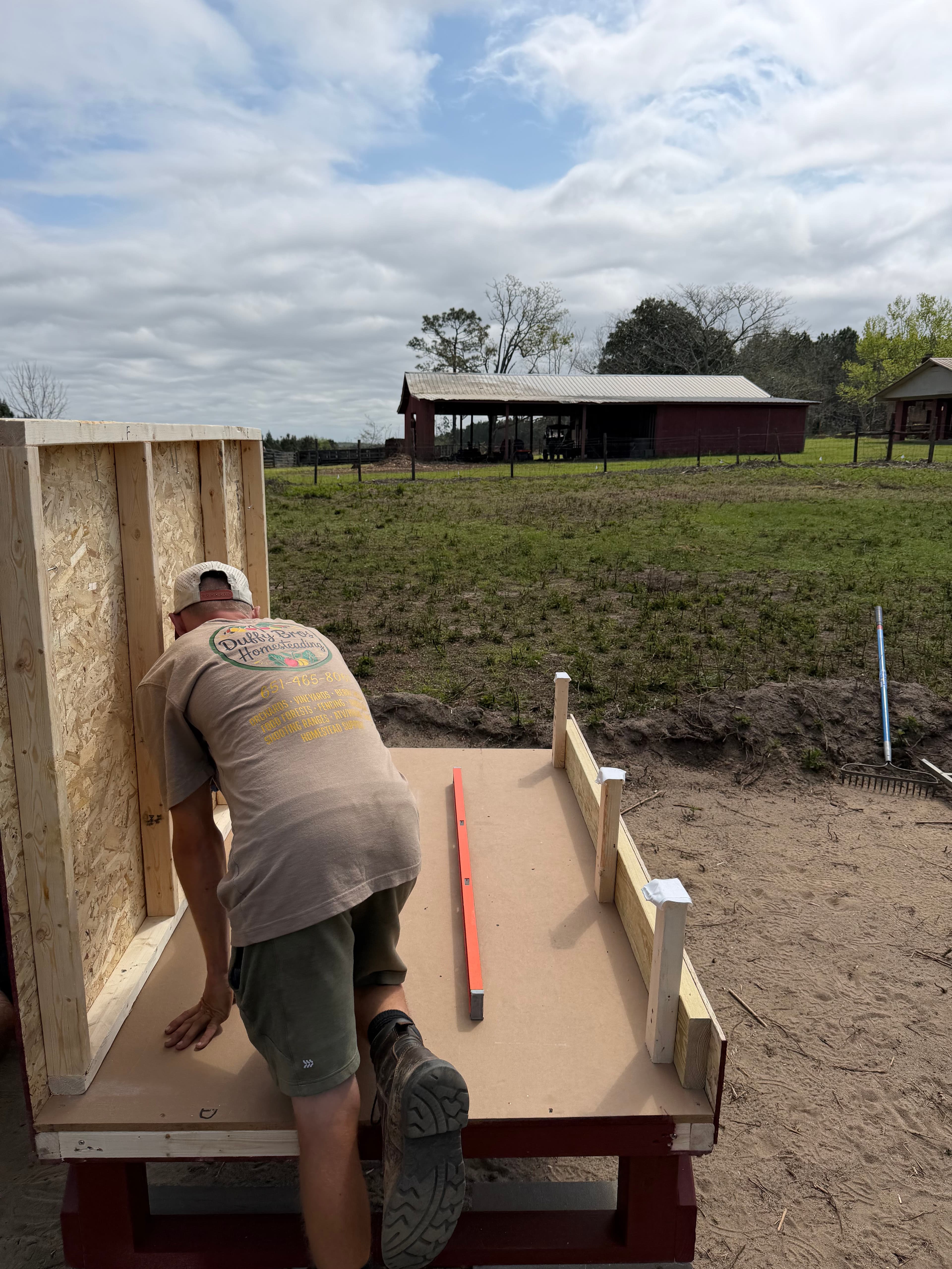 Project Transforming Land into a Chicken Paradise in Ponce de Leon image