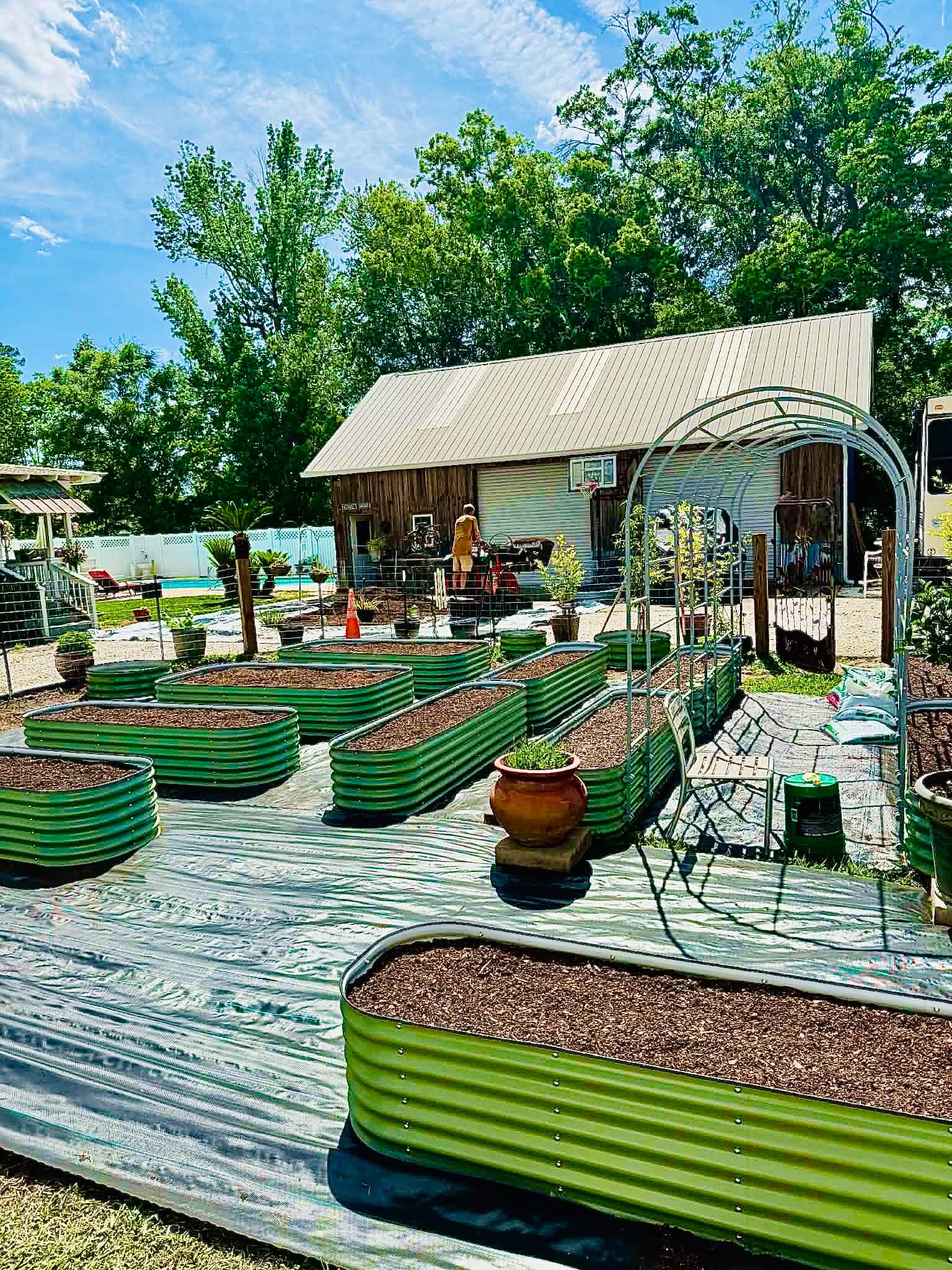 From Old Stump to Thriving Food Forest With Raised Beds image