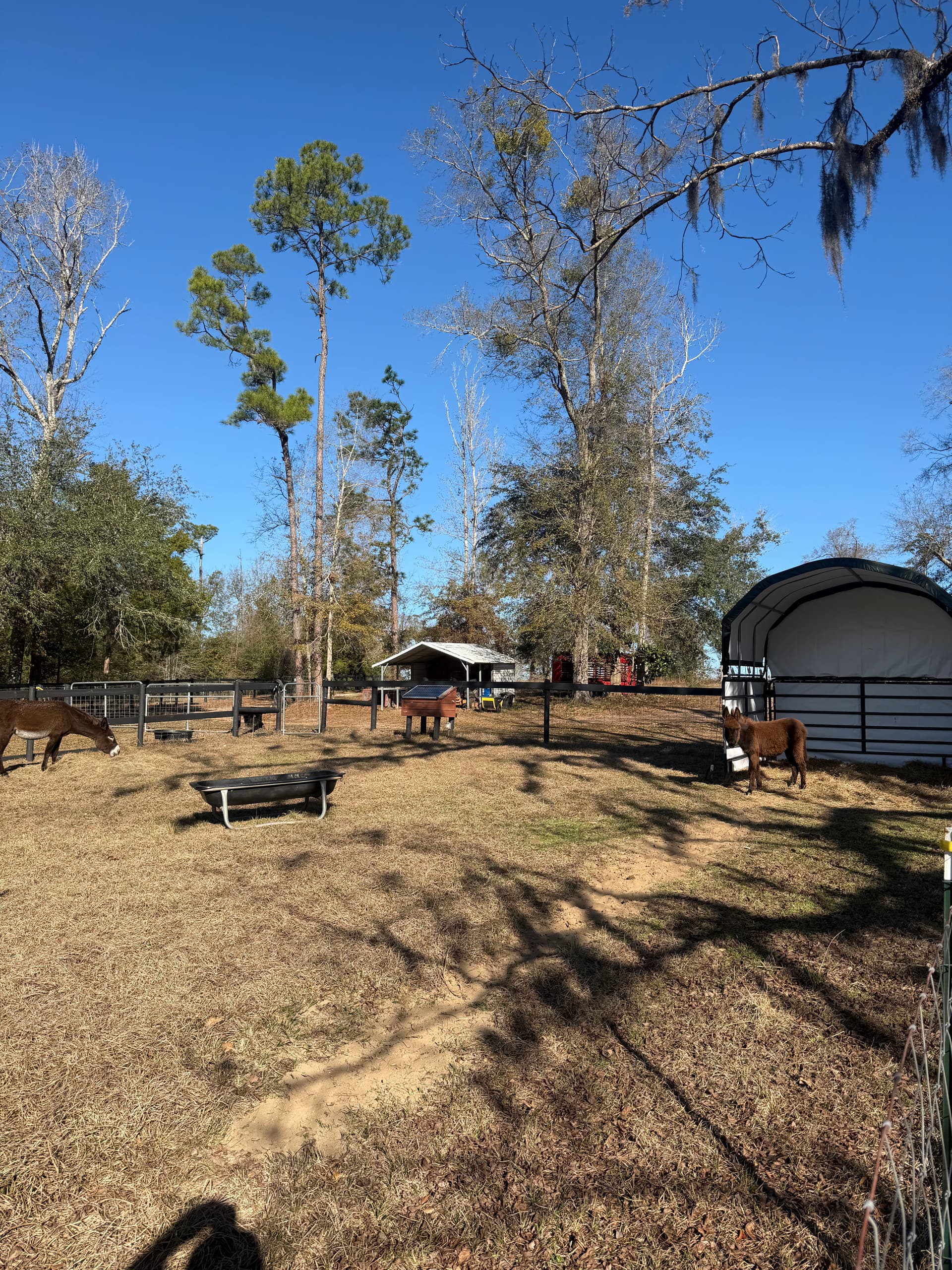 Gallery photos for Donkey Shelter Creation in Marianna, FL: Image #6