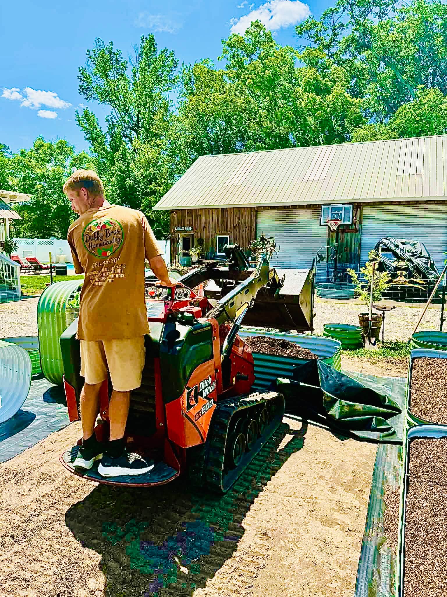 Gallery photos for From Old Stump to Thriving Food Forest With Raised Beds: Image #3