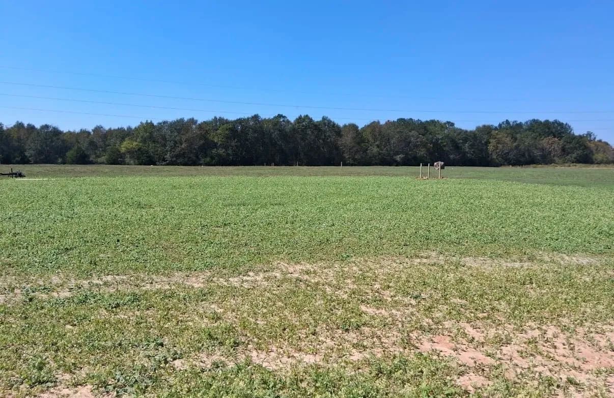 Gallery photos for Pasture Fencing and Frost-Proof Spigot Installation in Webb Alabama: Image #2