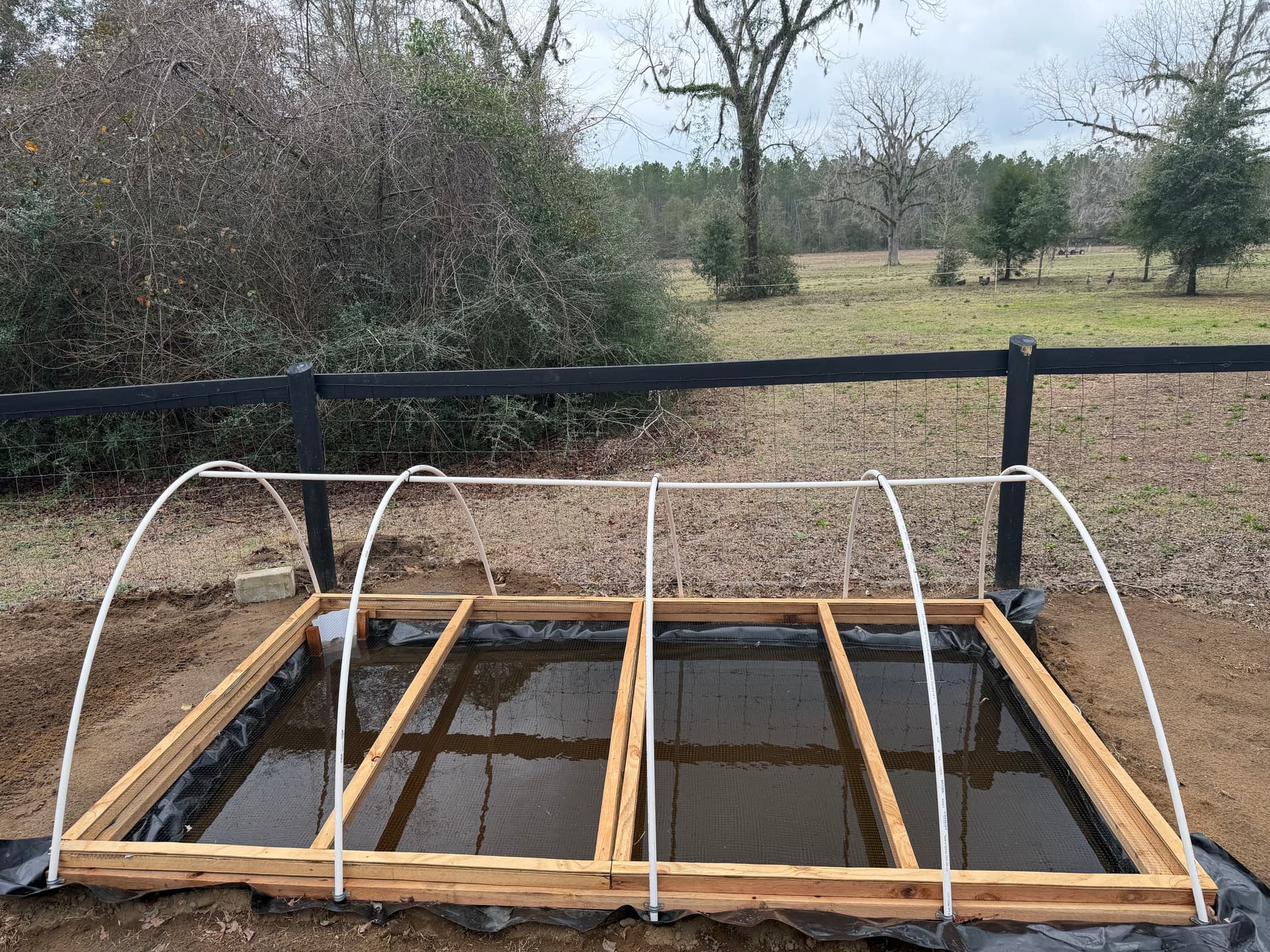 Gallery photos for Sustainable Poultry Solutions in Marianna Florida: Image #6