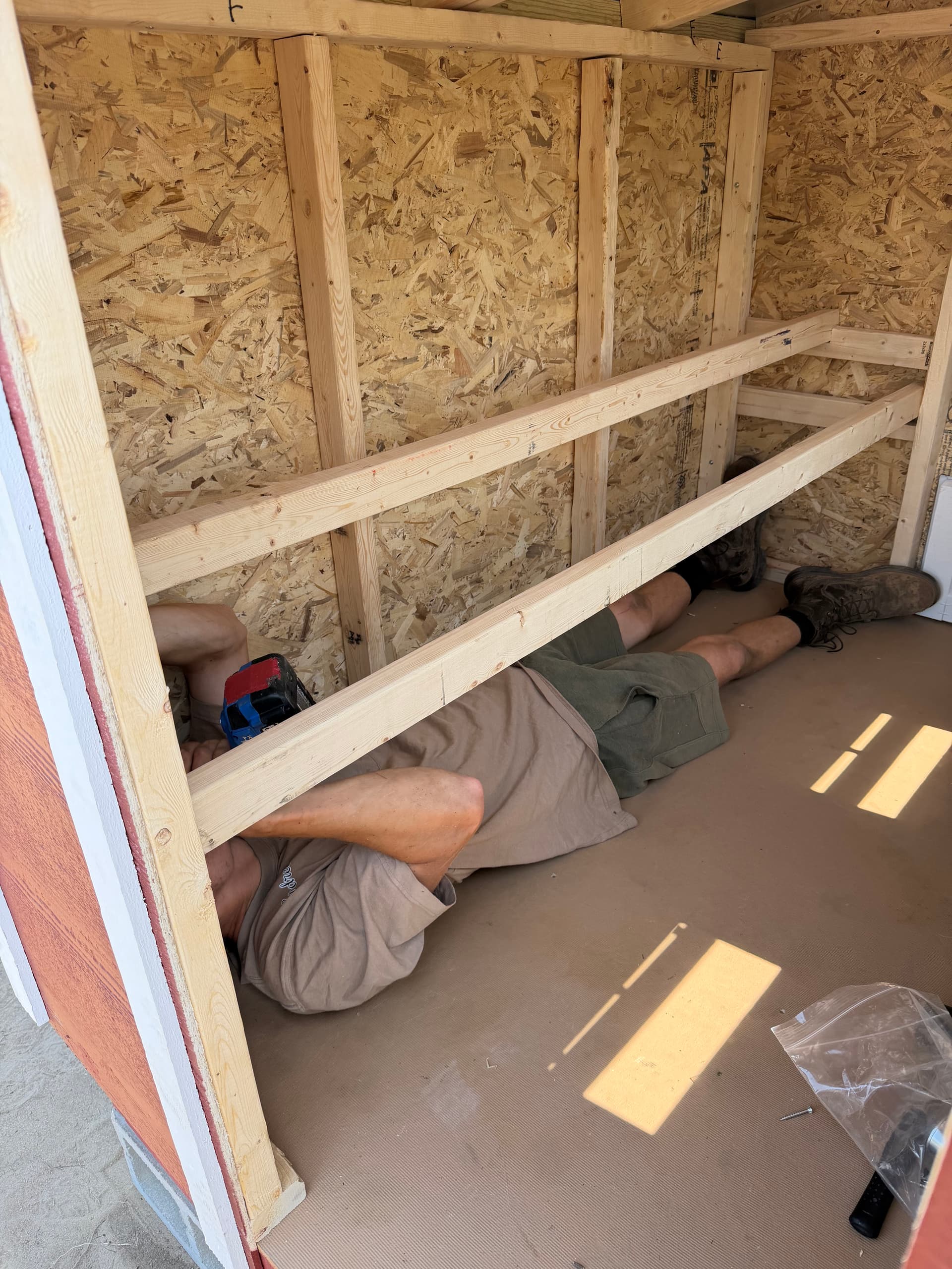 Gallery photos for Transforming Land into a Chicken Paradise in Ponce de Leon: Image #3