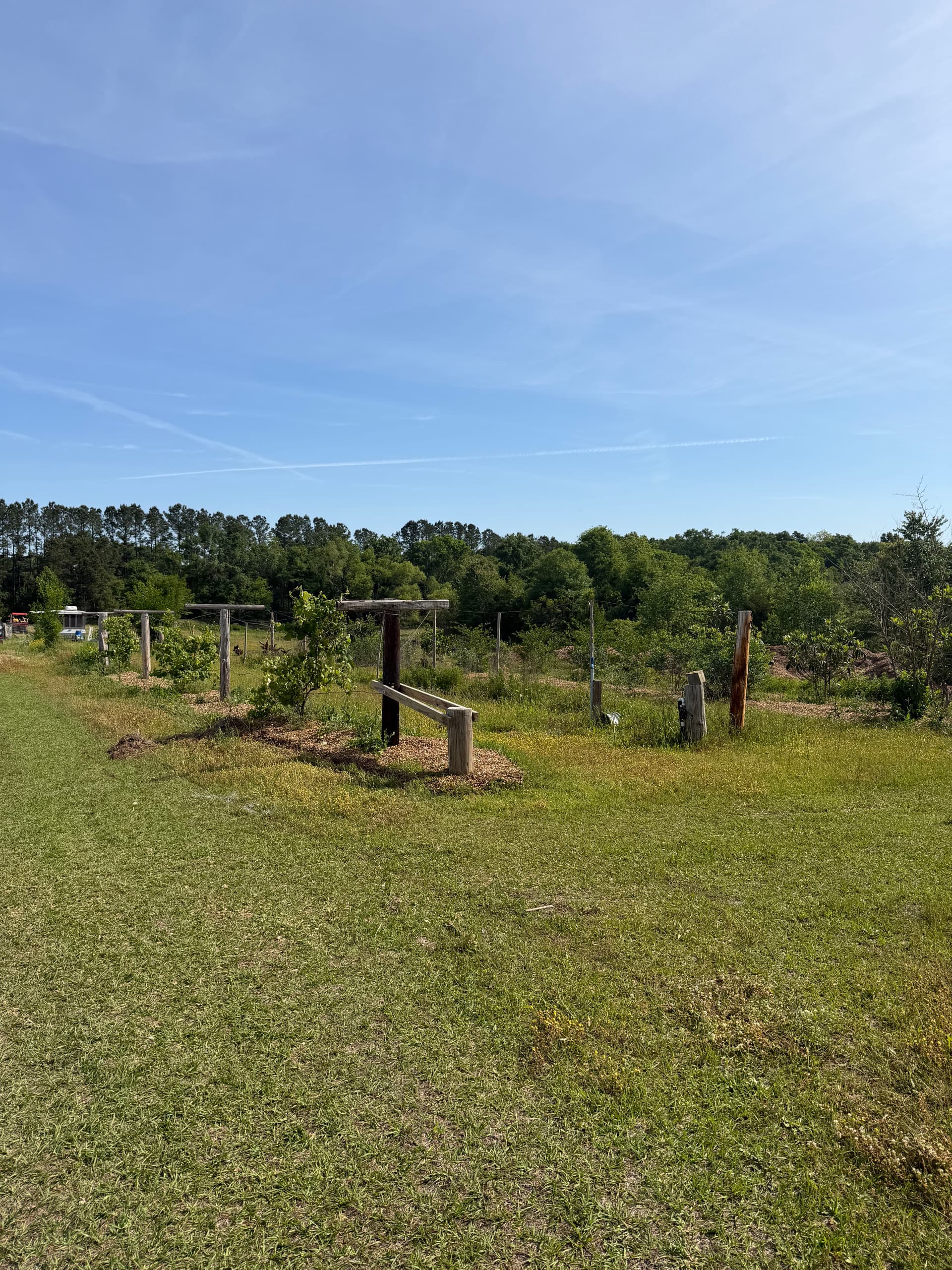 Gallery photos for 12 frost proof hydrant installations for a working orchard in bonifay fl: Image #8