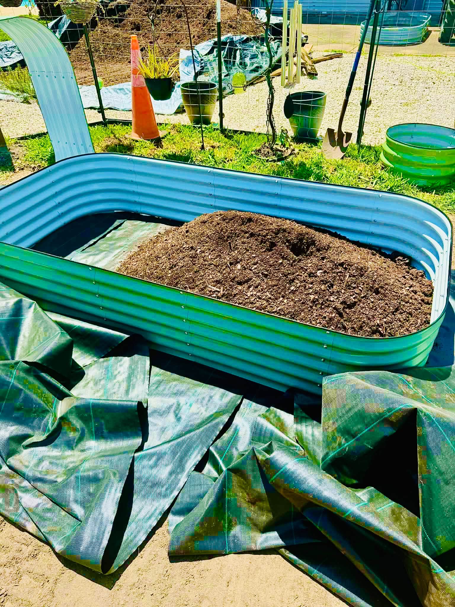 Gallery photos for From Old Stump to Thriving Food Forest With Raised Beds: Image #4