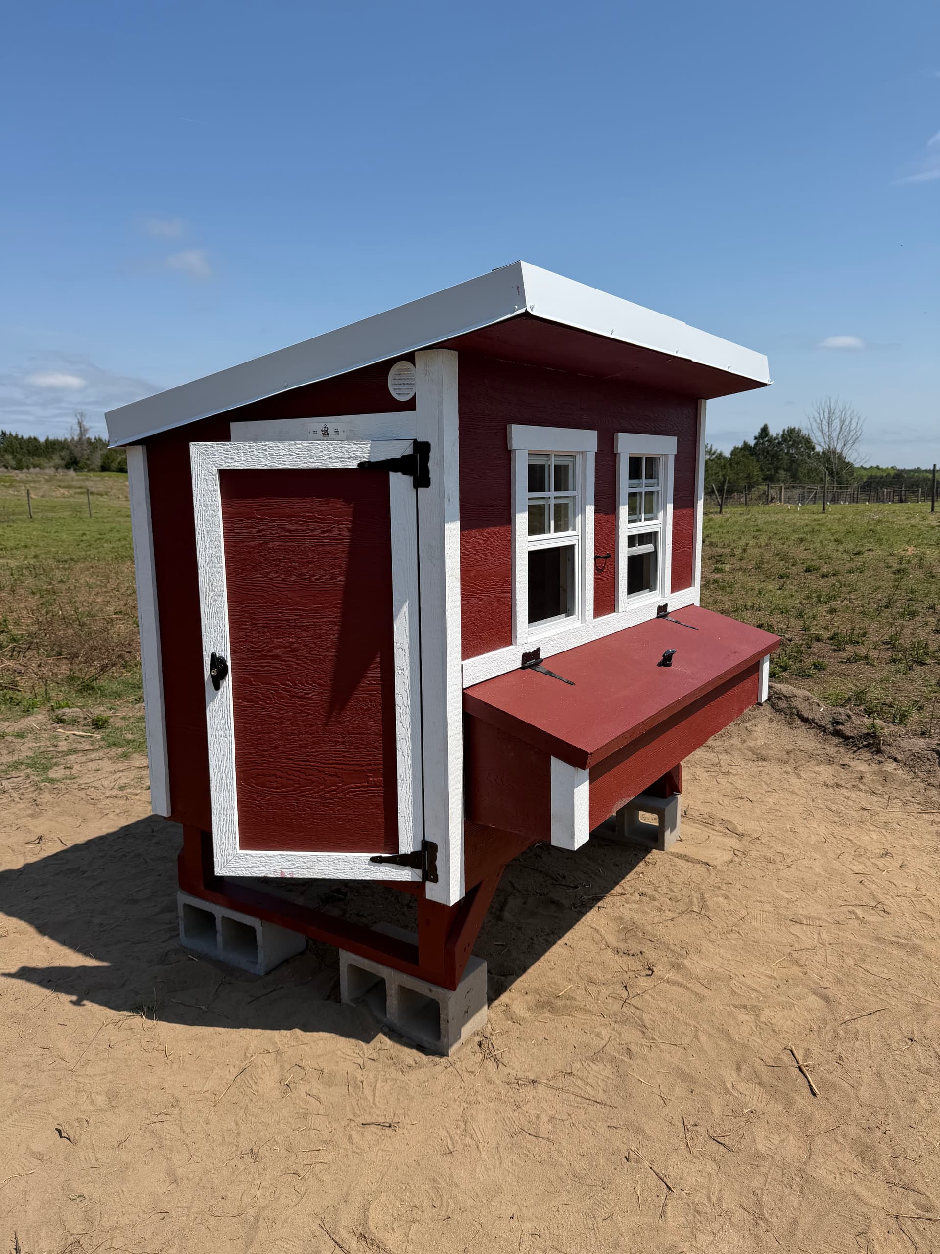 Gallery photos for Transforming Land into a Chicken Paradise in Ponce de Leon: Image #5