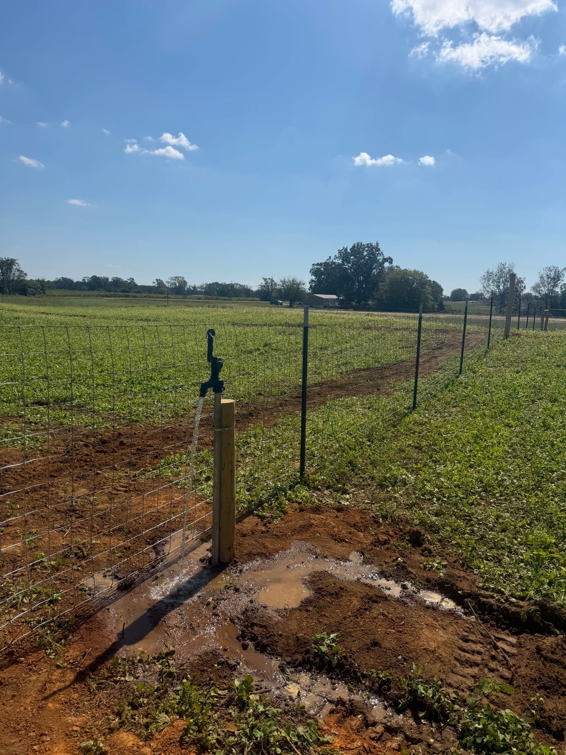 Gallery photos for Pasture Fencing and Frost-Proof Spigot Installation in Webb Alabama: Image #8