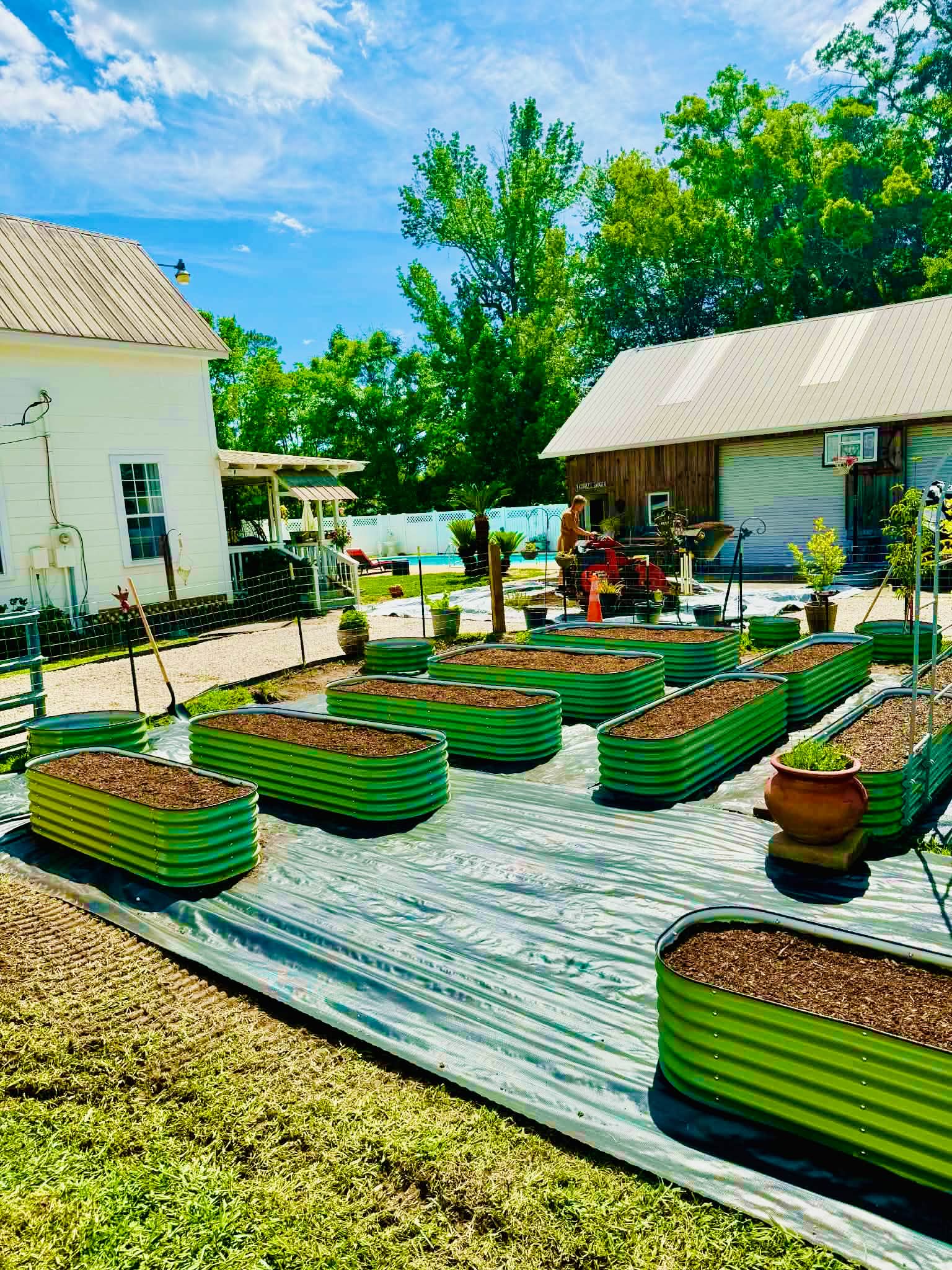 Gallery photos for From Old Stump to Thriving Food Forest With Raised Beds: Image #1