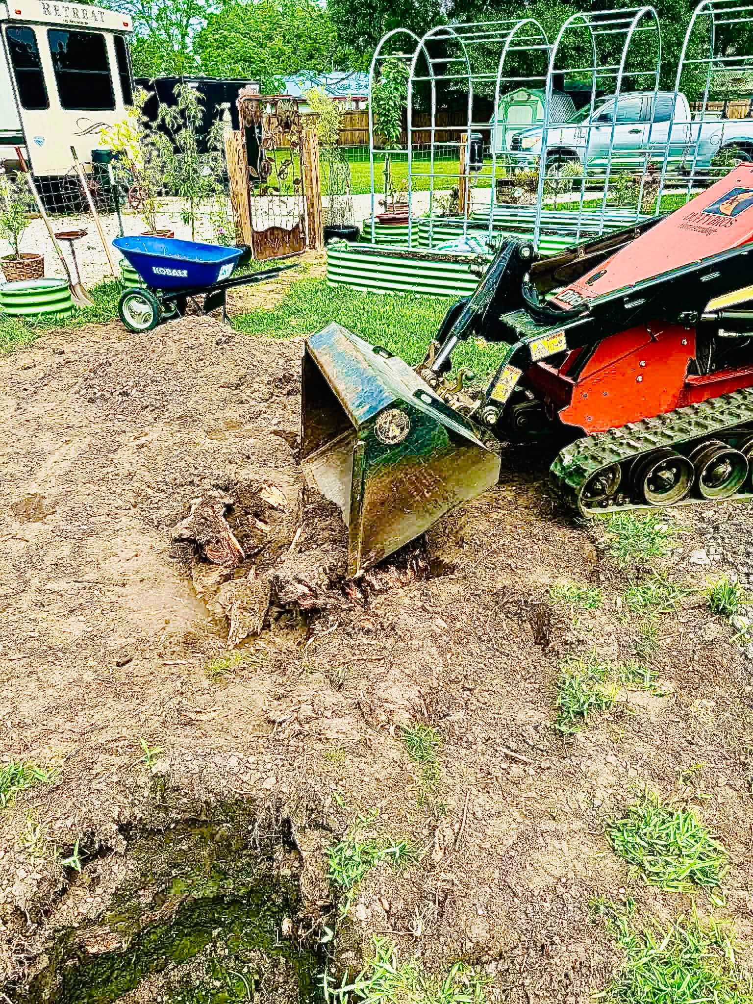 Gallery photos for From Old Stump to Thriving Food Forest With Raised Beds: Image #6