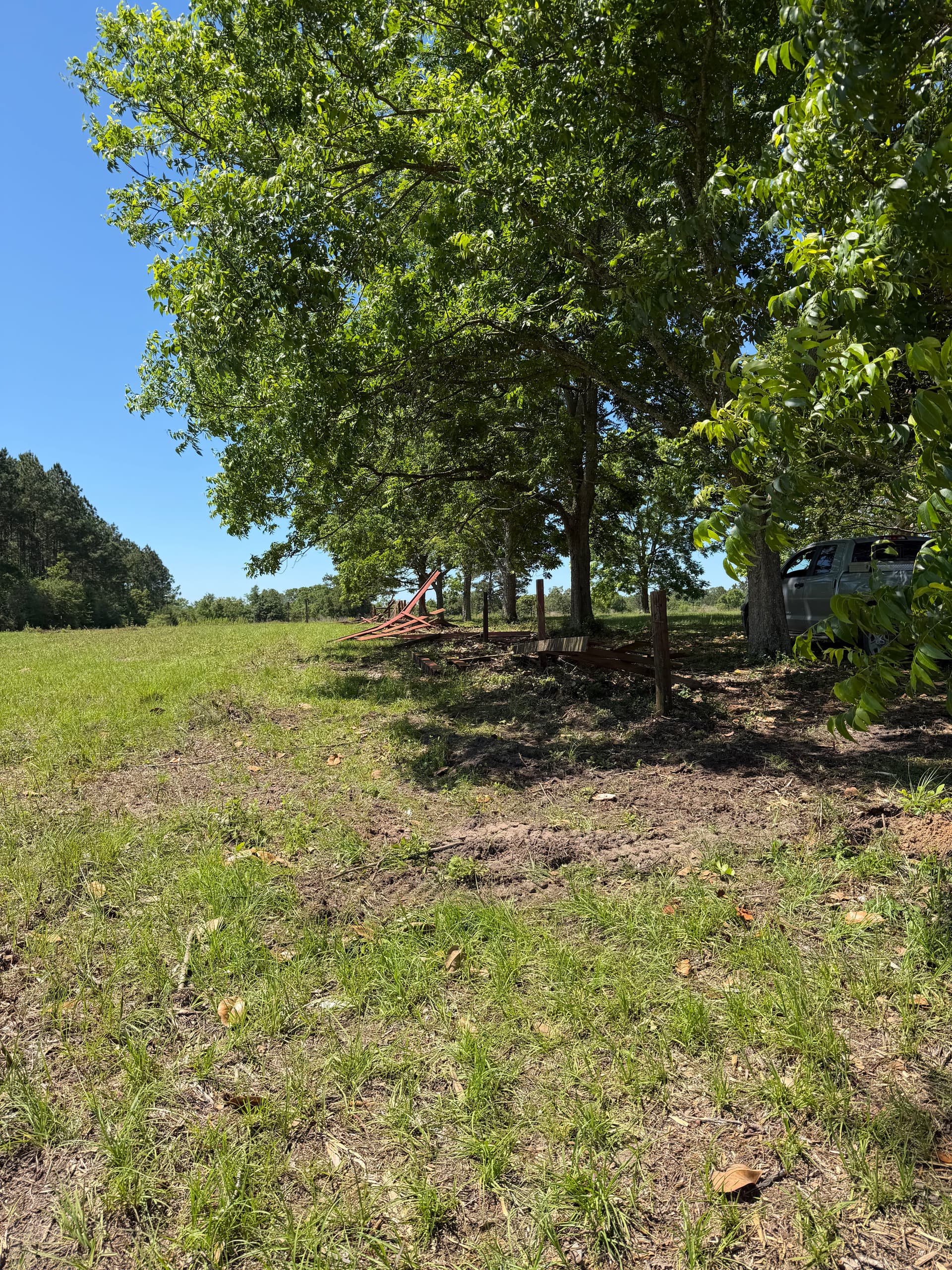 Gallery photos for Pasture Cleared and Prepped From the Ground Up: Image #5