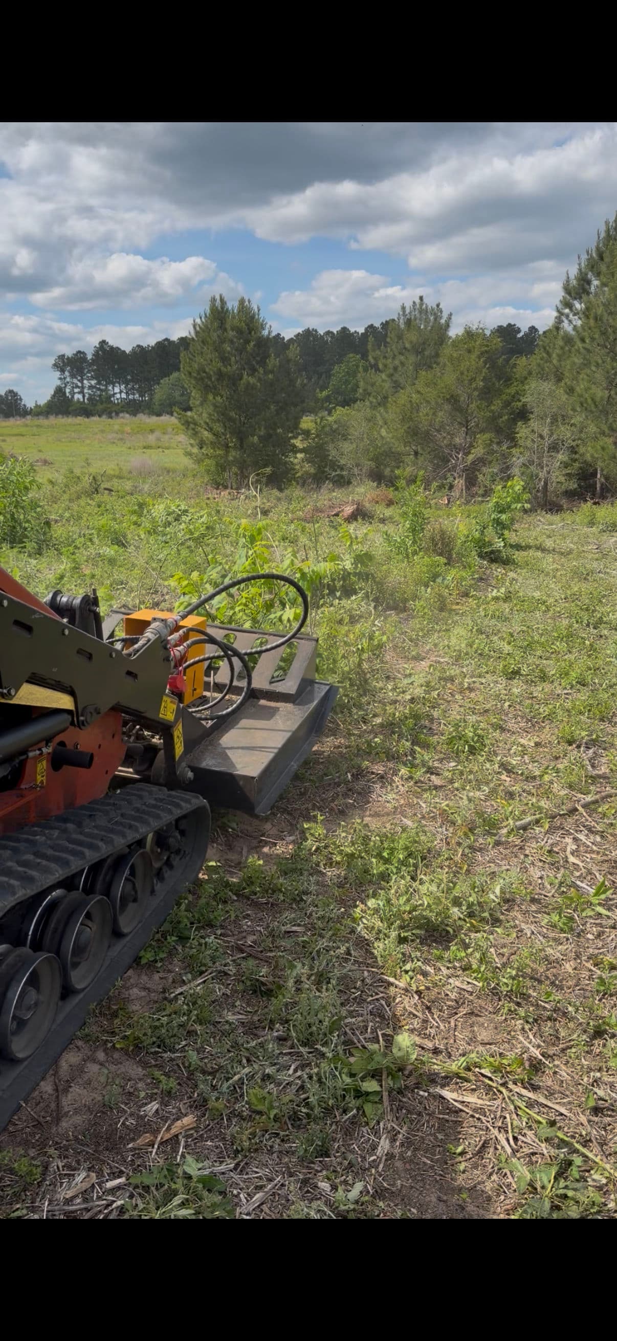 Project Pasture Cleared and Prepped From the Ground Up image