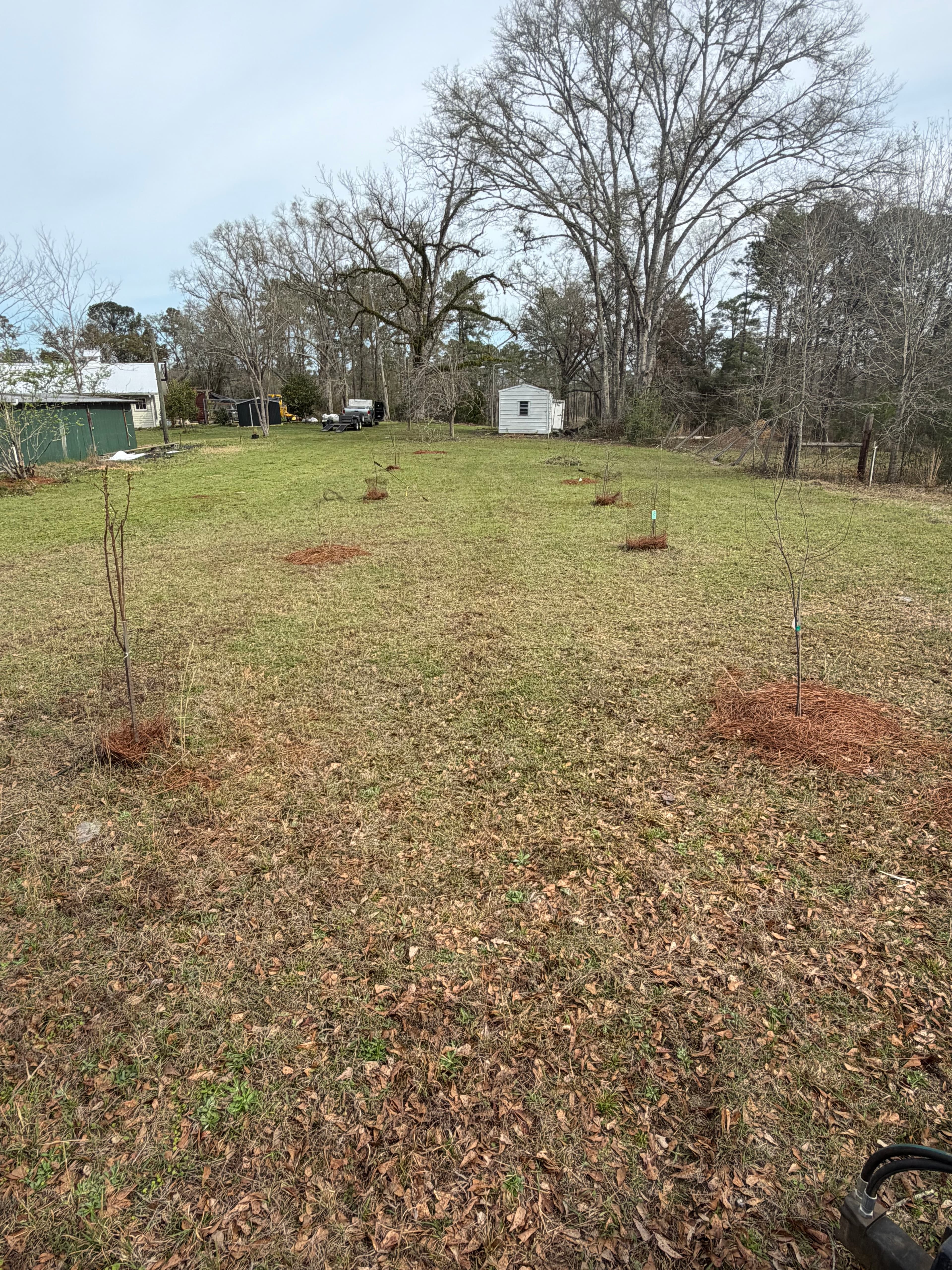 Project Irrigation Installation Nurtures Young Orchard in Baker, Florida image