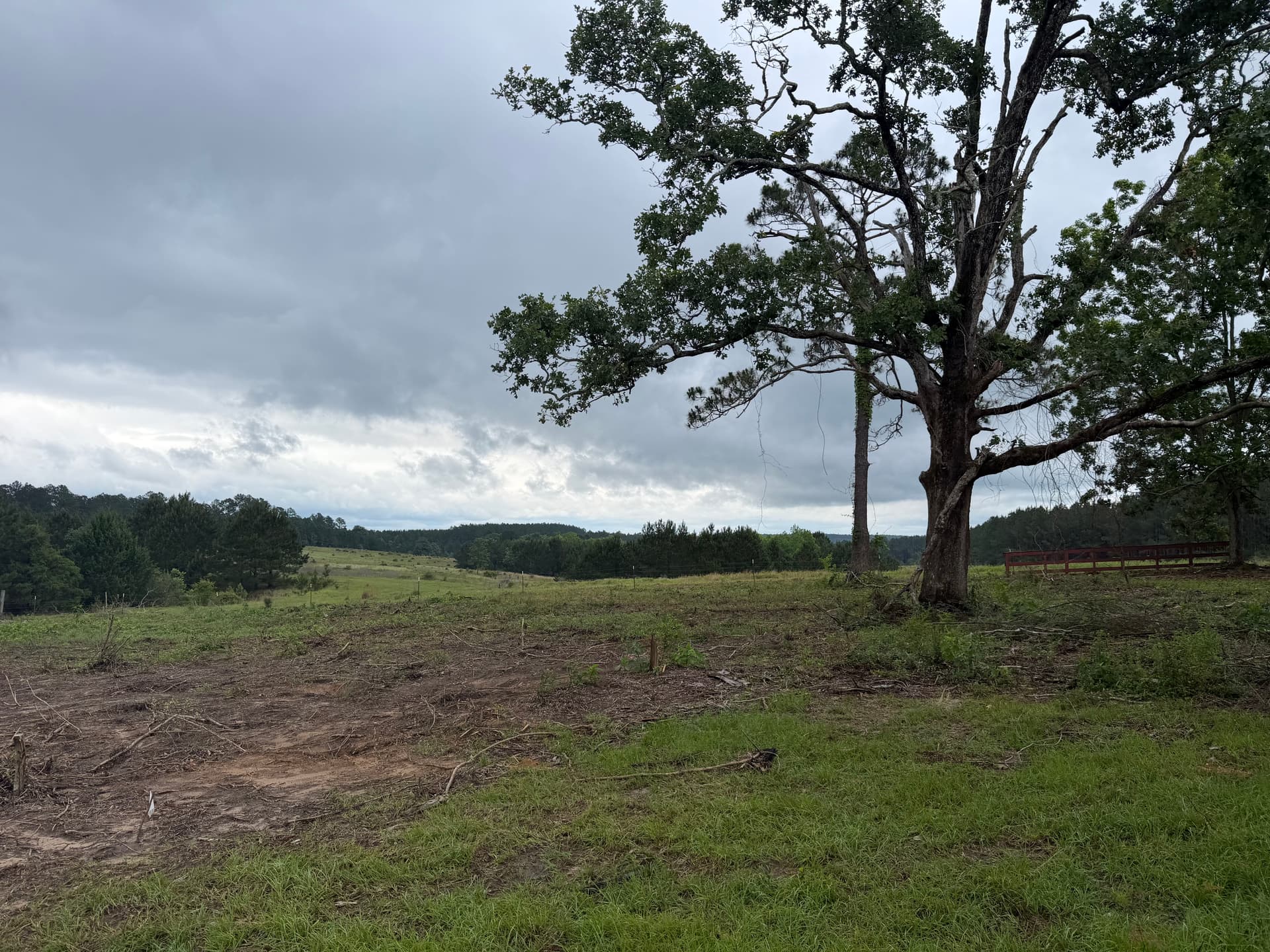 Gallery photos for Pasture Cleared and Prepped From the Ground Up: Image #7