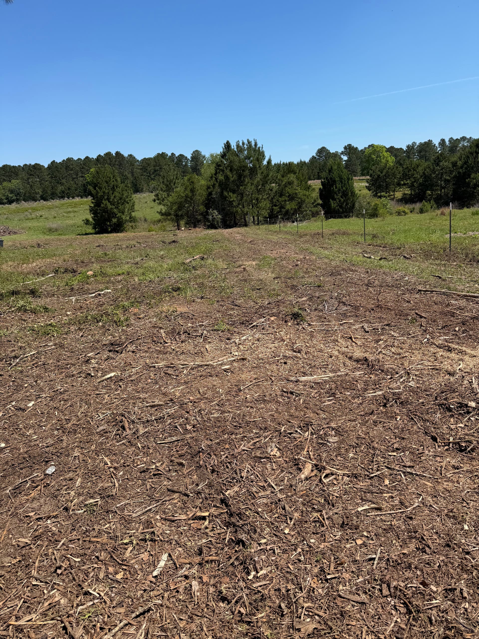Gallery photos for Pasture Cleared and Prepped From the Ground Up: Image #6