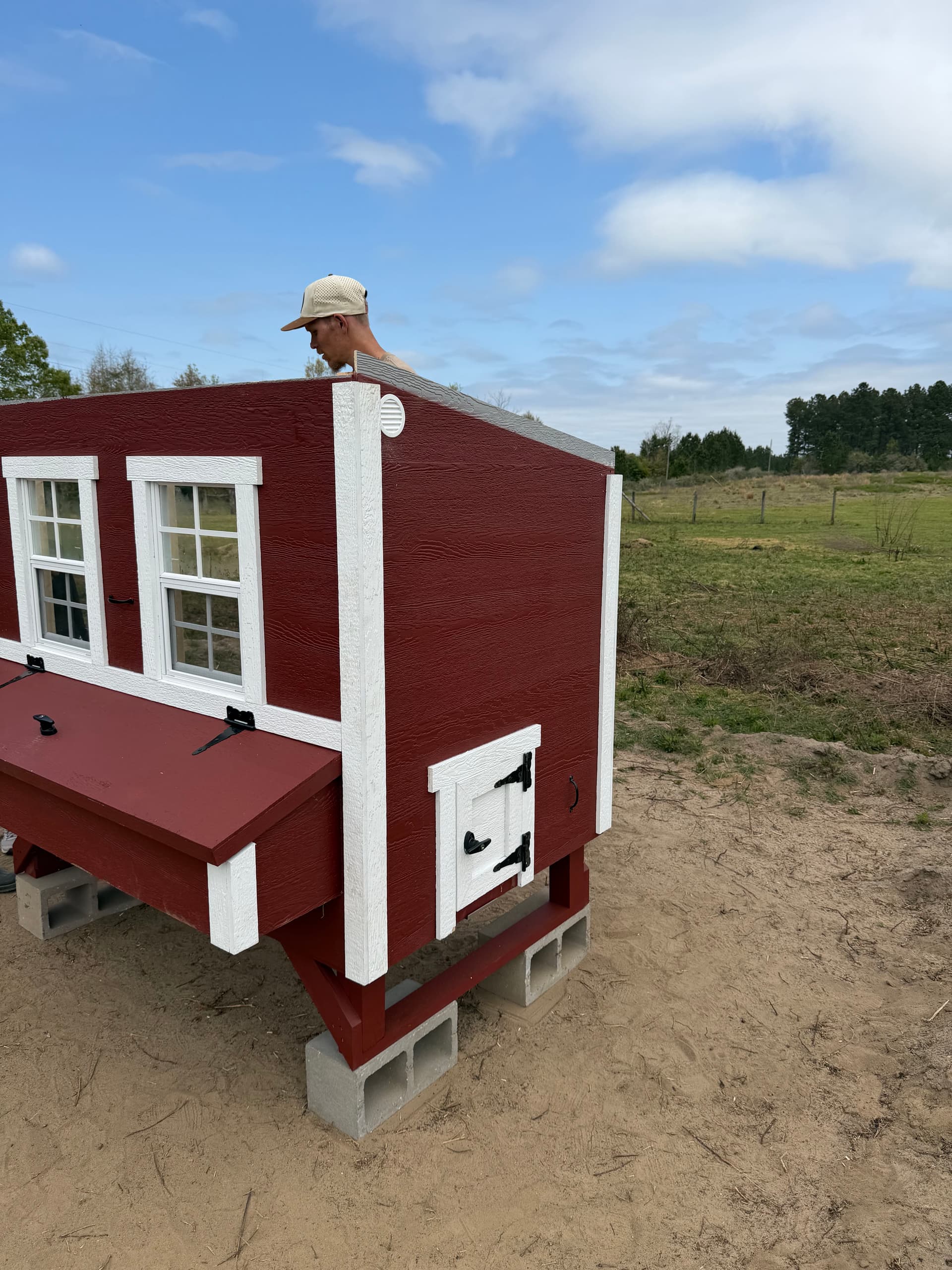 Gallery photos for Transforming Land into a Chicken Paradise in Ponce de Leon: Image #1