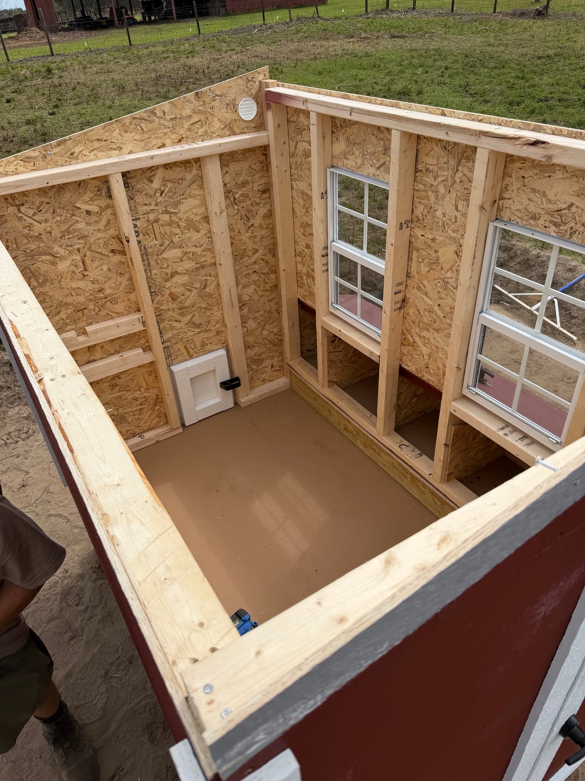 Gallery photos for Transforming Land into a Chicken Paradise in Ponce de Leon: Image #2