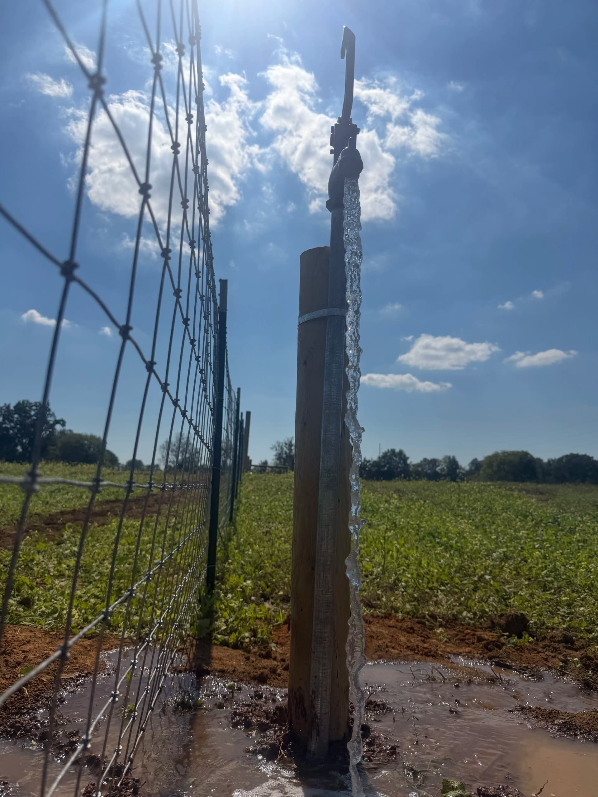 Gallery photos for Pasture Fencing and Frost-Proof Spigot Installation in Webb Alabama: Image #1