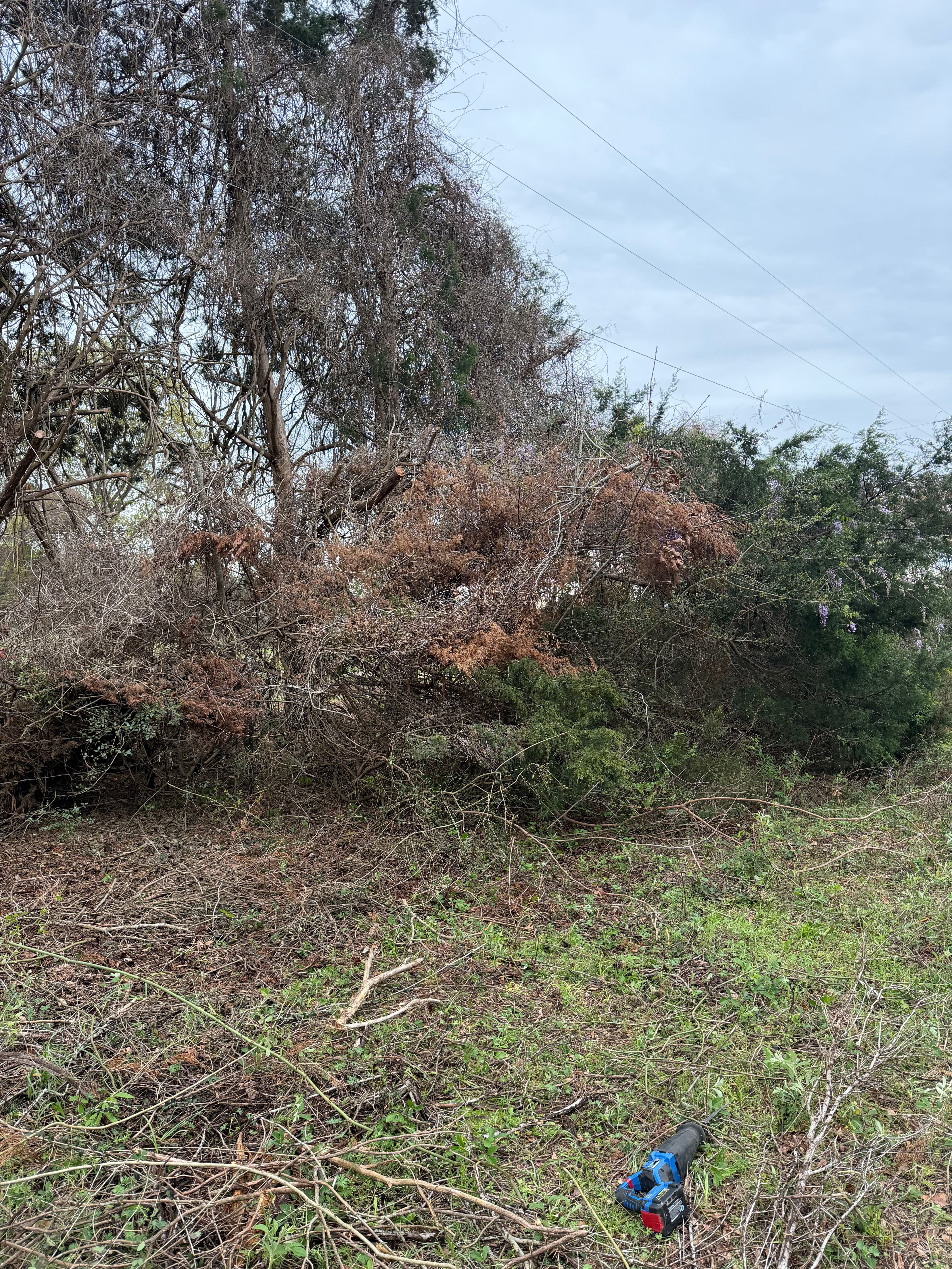 Project From Brush to Barrier - Fence Restoration in Ponce de Leon image