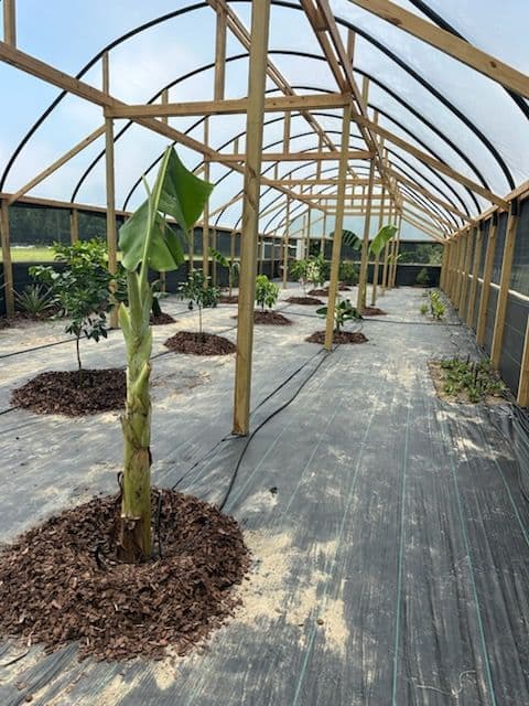 Greenhouse Success in Gordon Alabama