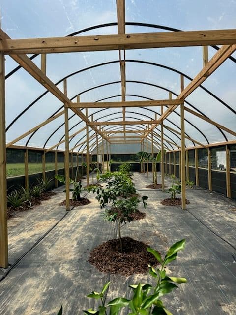Greenhouse Success in Gordon Alabama