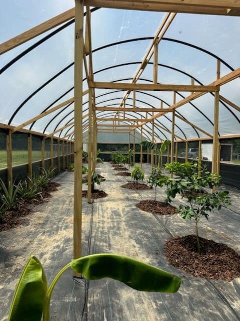 Greenhouse Success in Gordon Alabama