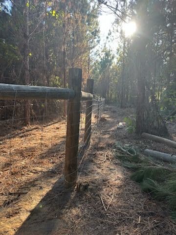 Project Expanding Our Pigs' Pasture at Duffy Bros Homesteading image