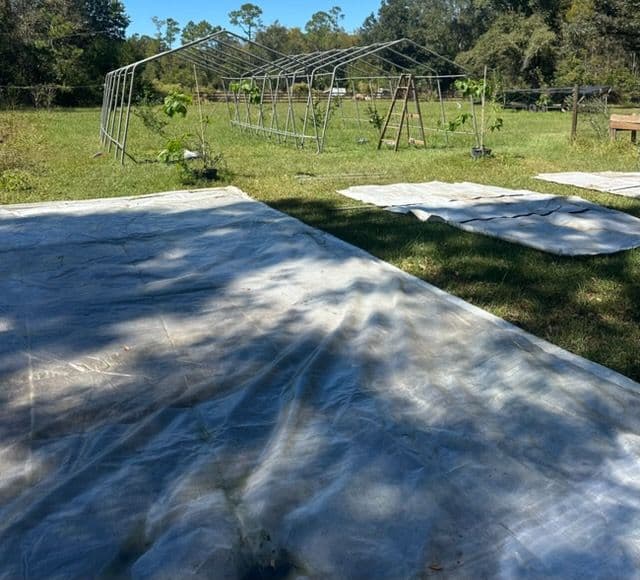Winter Preparations for Our Greenhouses in Florida