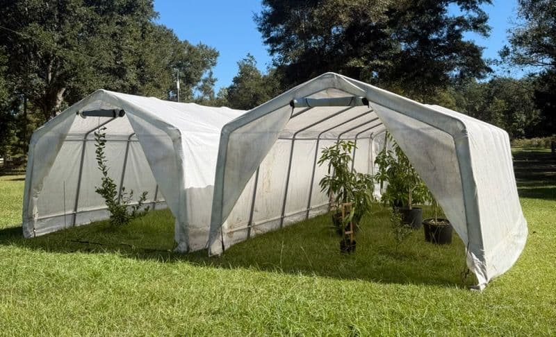 Winter Preparations for Our Greenhouses in Florida