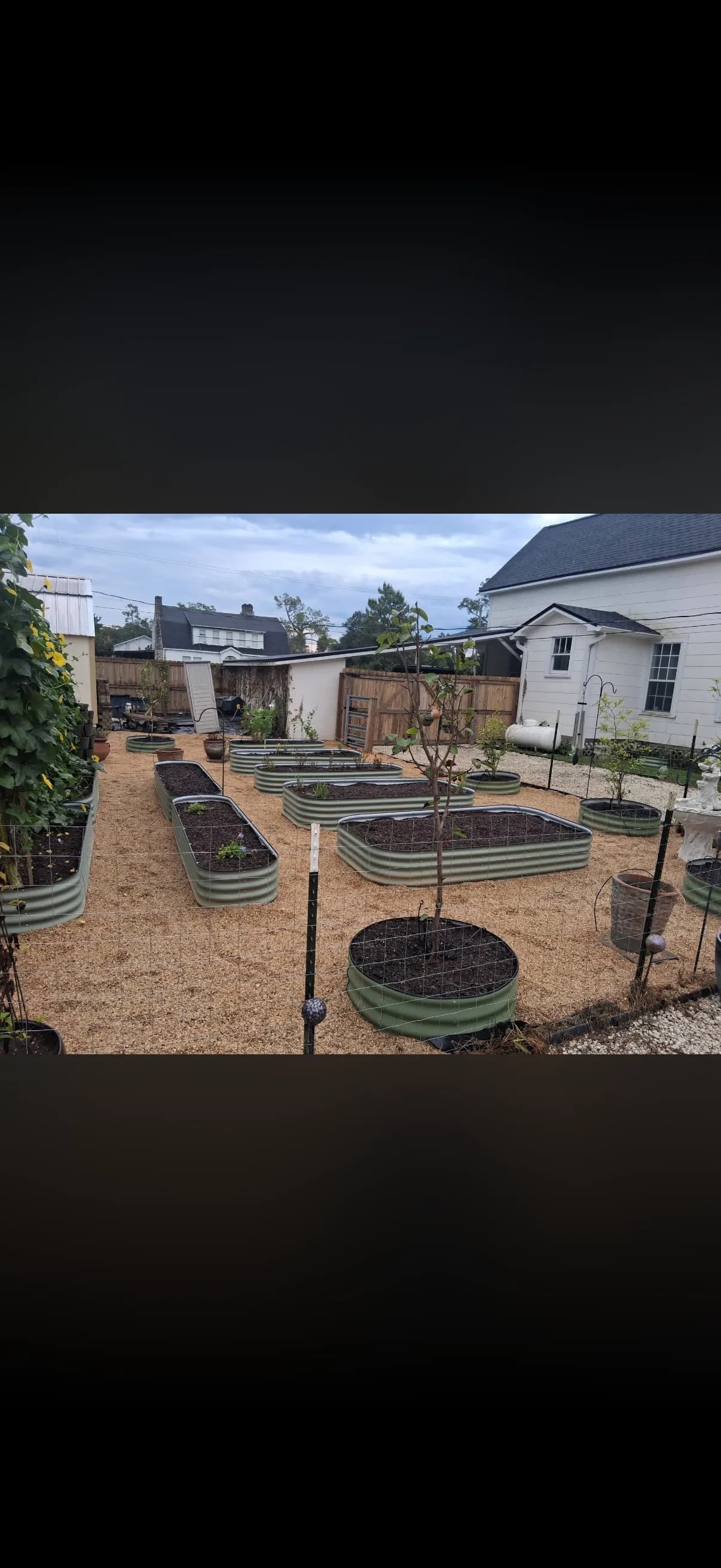 Raised Bed Garden Build with Irrigation and Solar Lighting in Chipley FL image