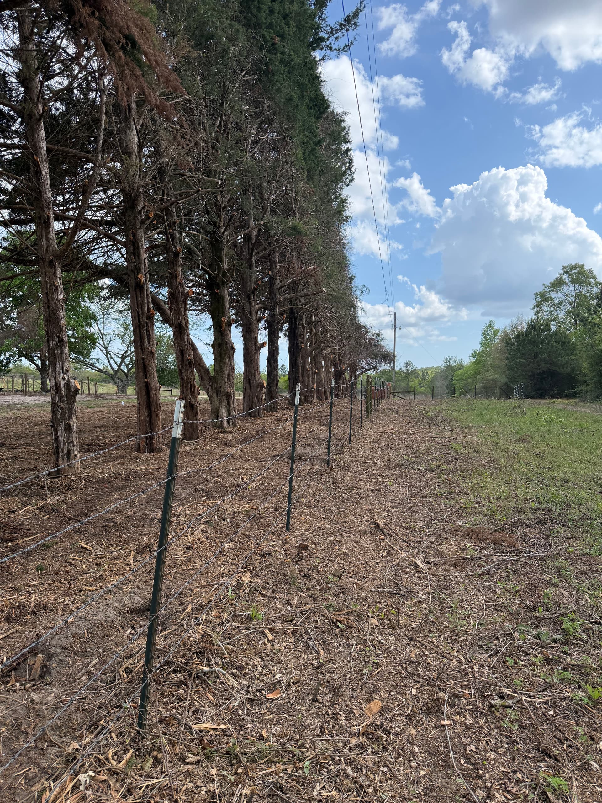 Gallery photos for From Brush to Barrier - Fence Restoration in Ponce de Leon: Image #4