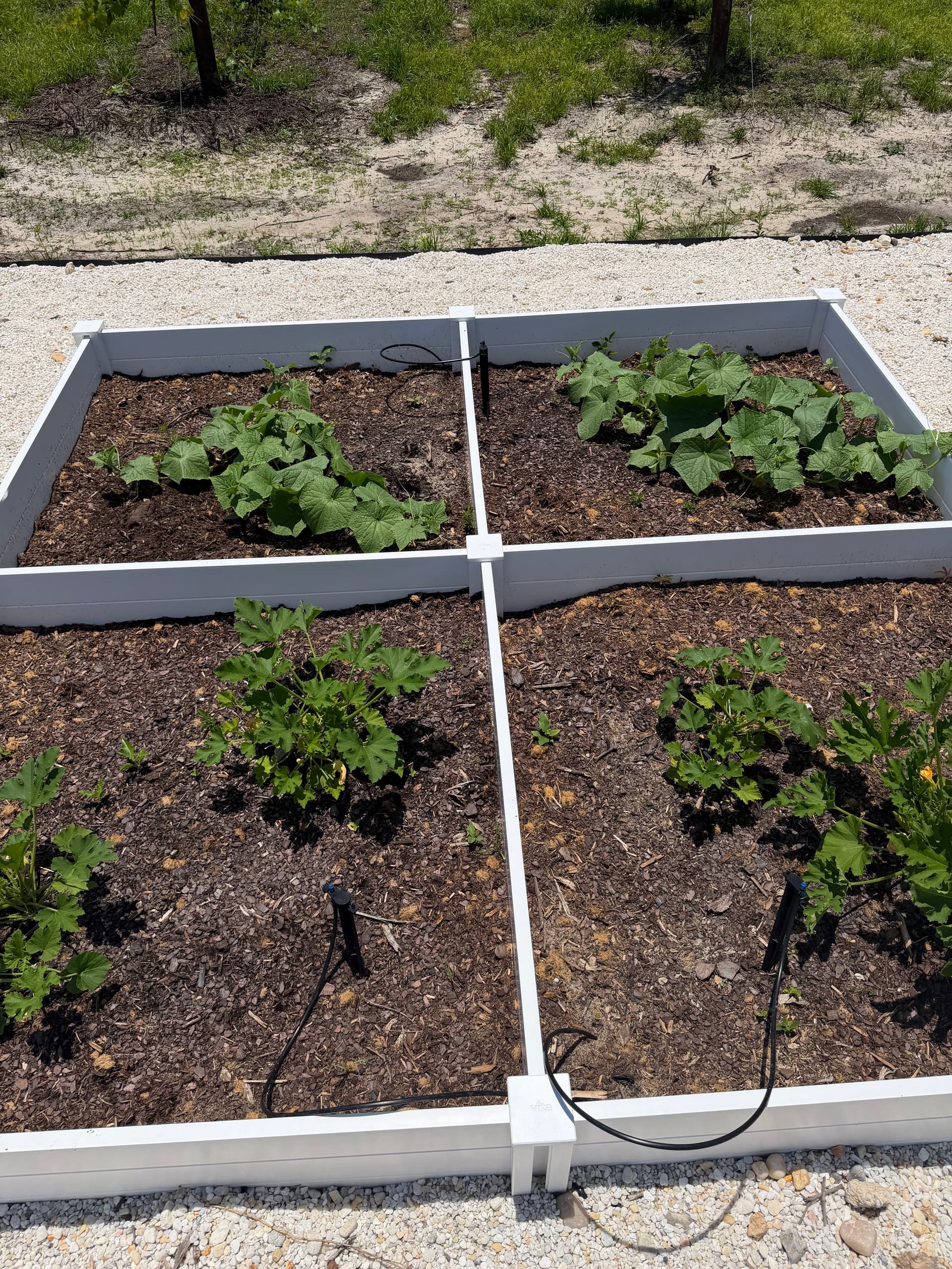 Gallery photos for Raised Bed Garden Builds in Navarre and Ponce De Leon: Image #8