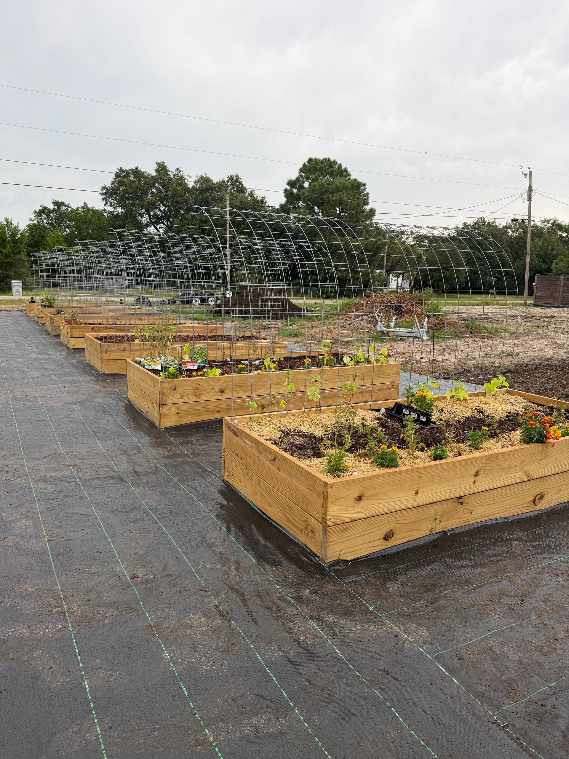 Raised Bed Garden Builds in Navarre and Ponce De Leon image