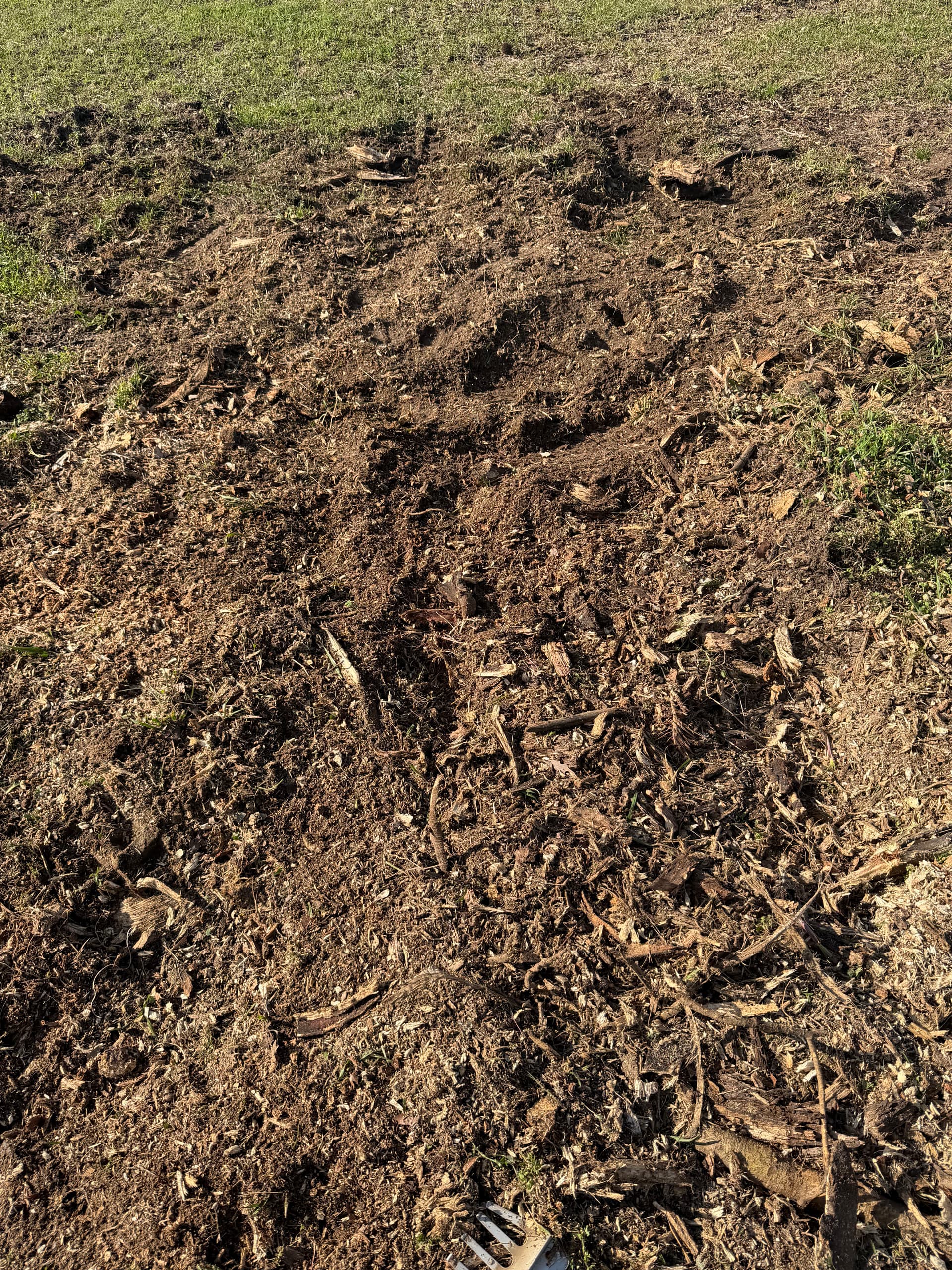 Gallery photos for Stump Grinding Success in Ponce De Leon Florida: Image #2