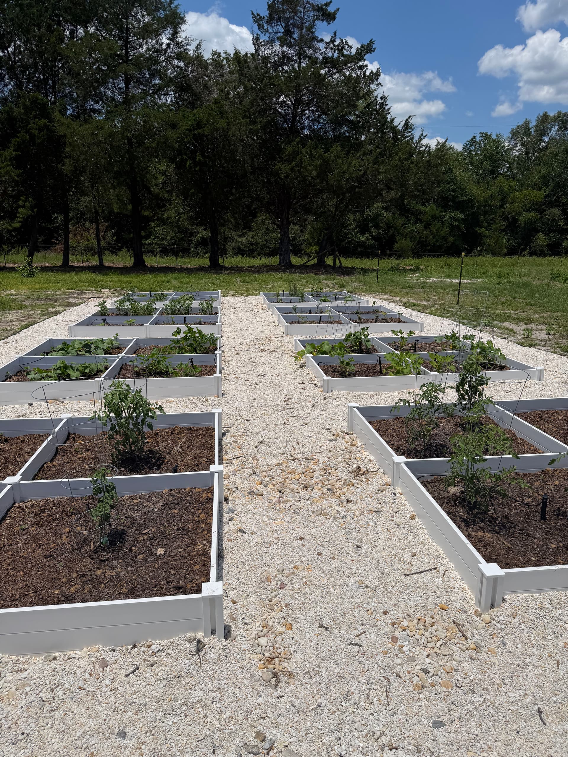 Gallery photos for Raised Bed Garden Builds in Navarre and Ponce De Leon: Image #7