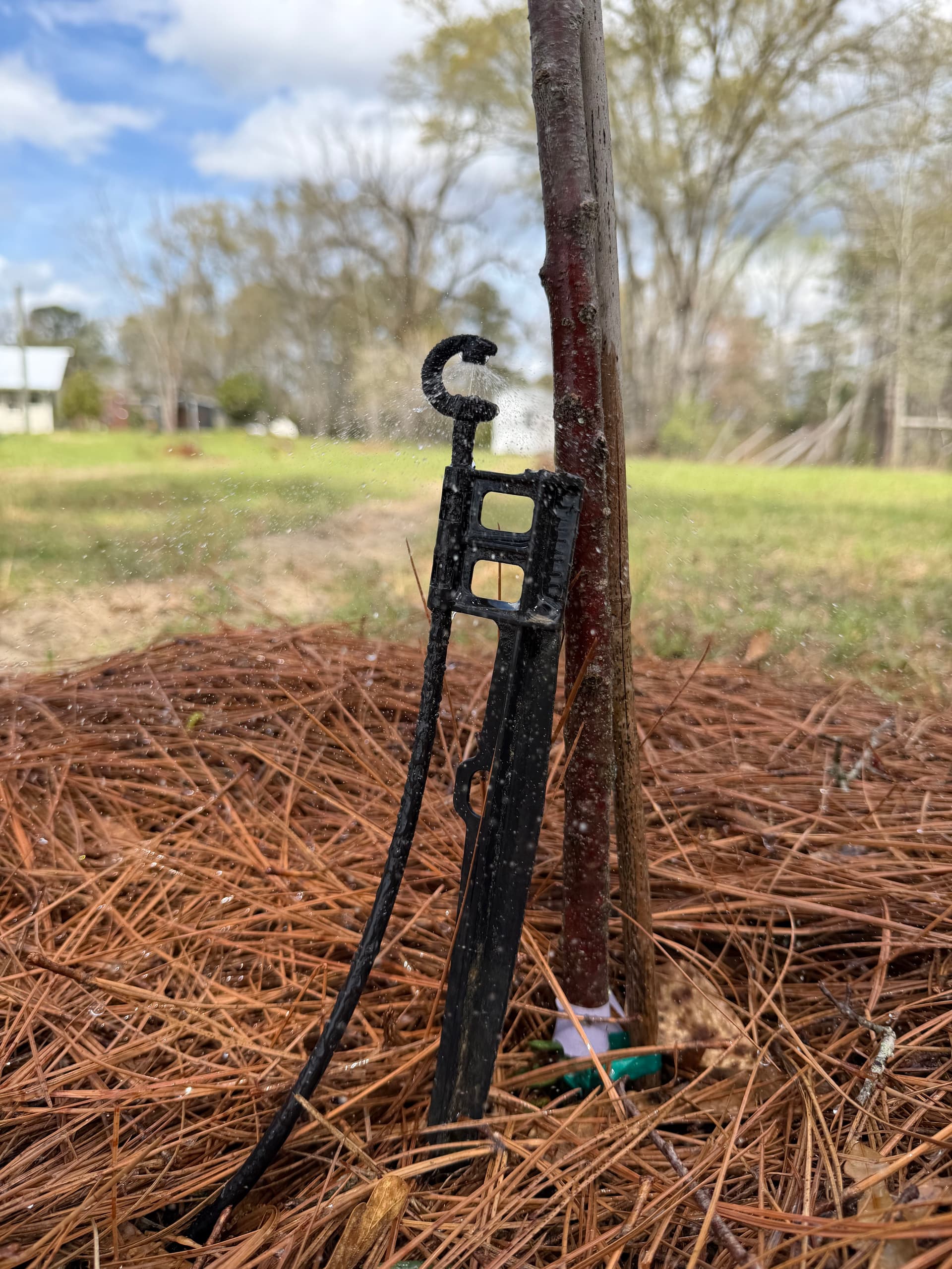 Gallery photos for Irrigation Installation Nurtures Young Orchard in Baker, Florida: Image #7