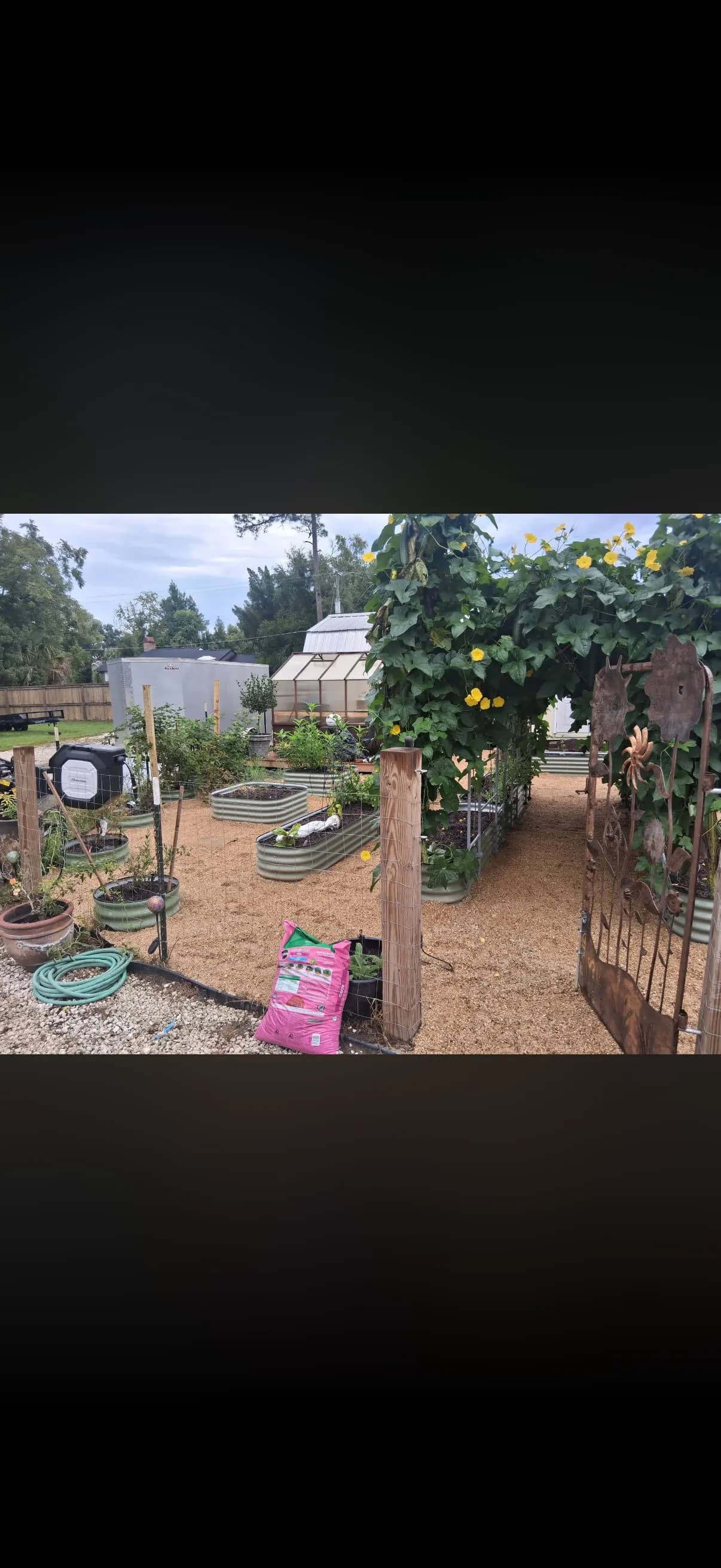 Gallery photos for Raised Bed Garden Build with Irrigation and Solar Lighting in Chipley FL: Image #2