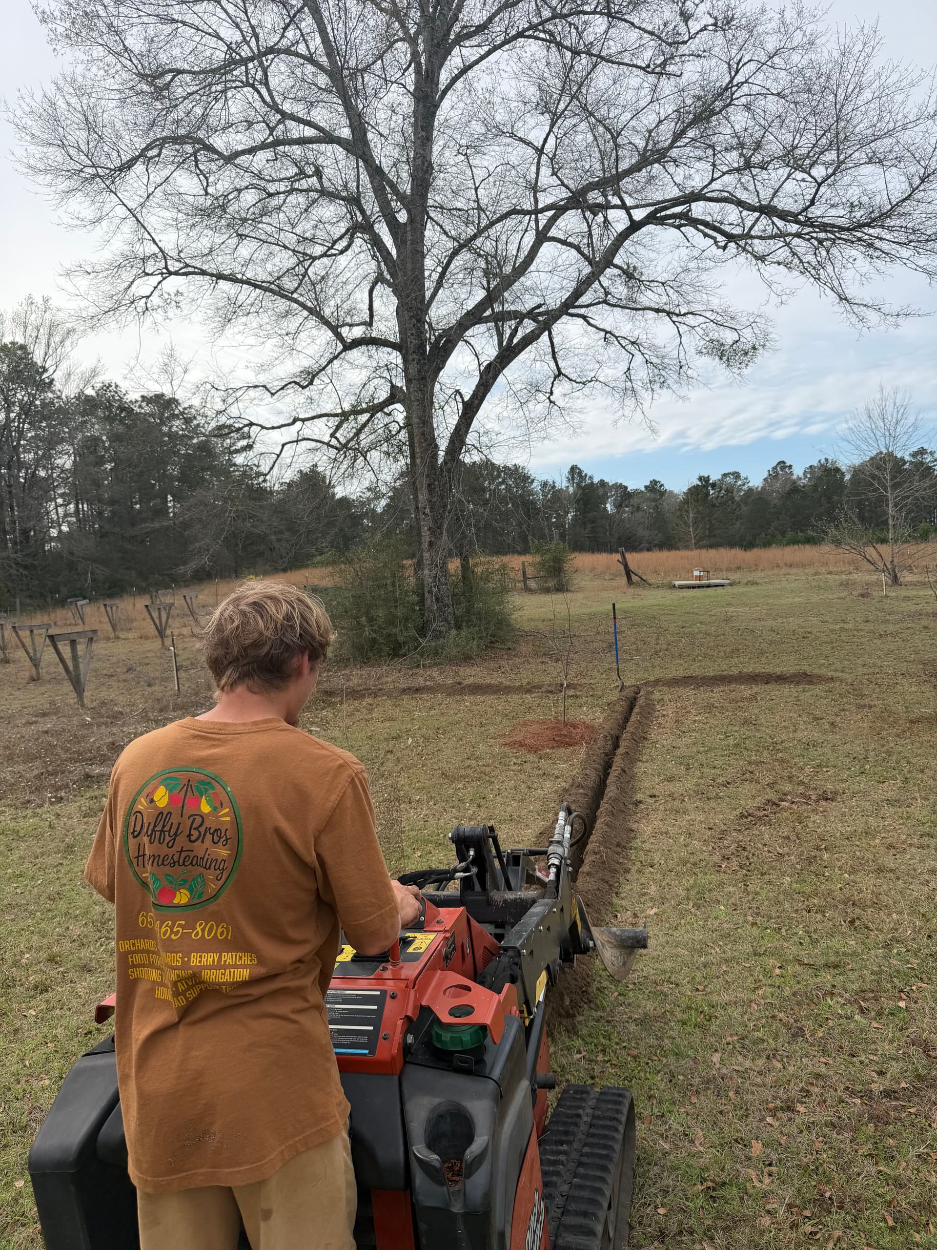 Gallery photos for Irrigation Installation Nurtures Young Orchard in Baker, Florida: Image #3
