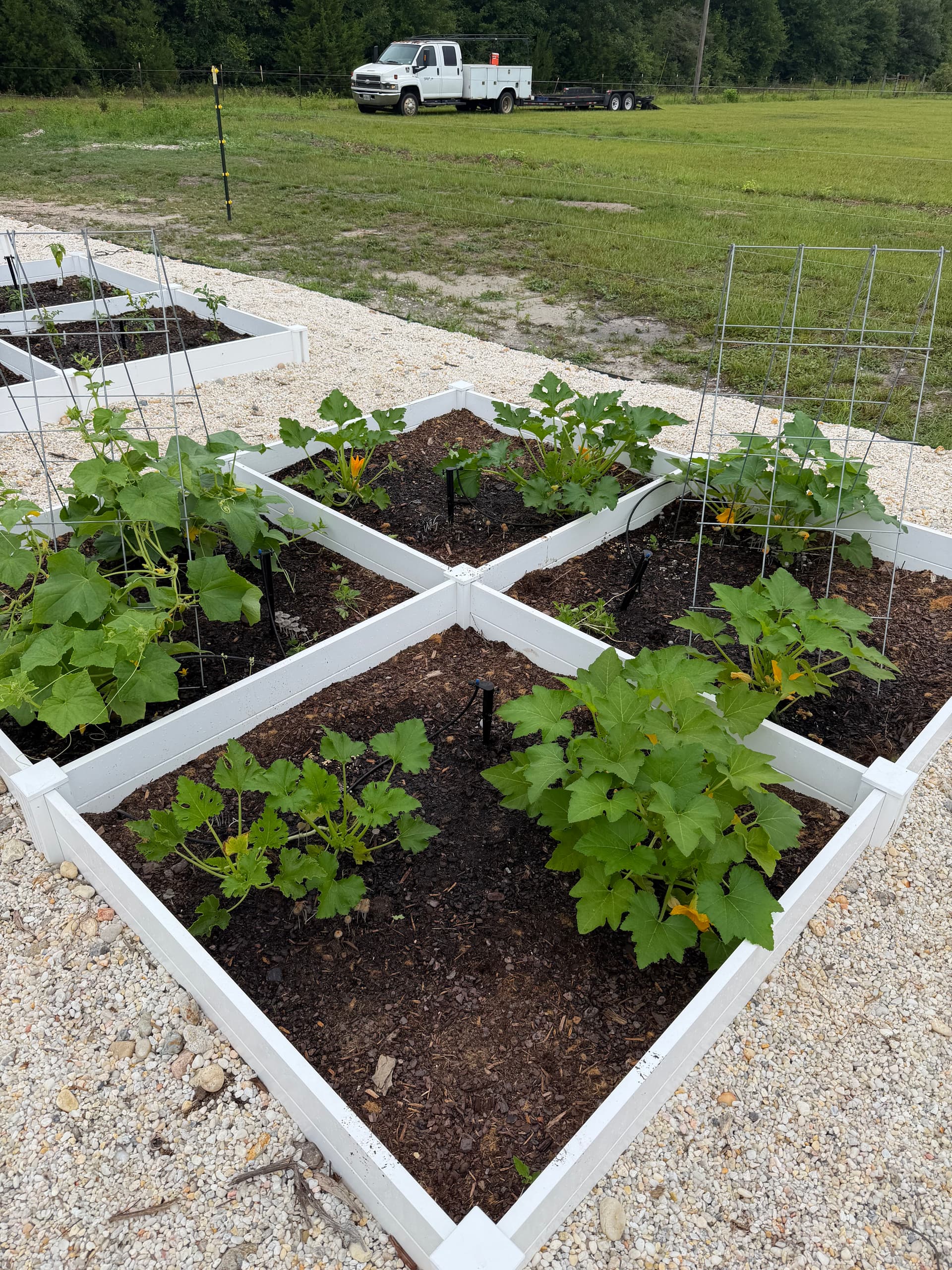 Gallery photos for Raised Bed Garden Builds in Navarre and Ponce De Leon: Image #3