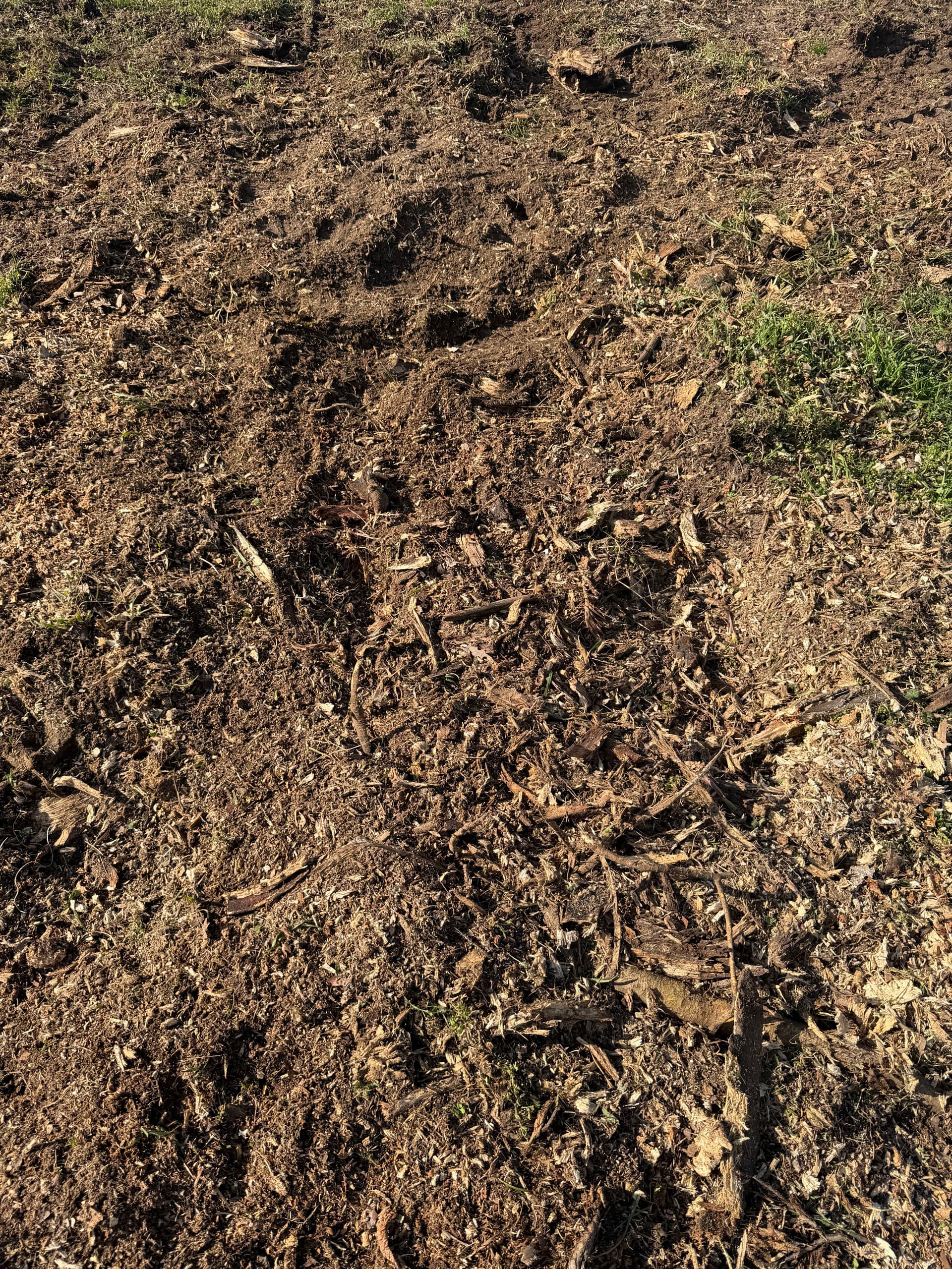 Gallery photos for Stump Grinding Success in Ponce De Leon Florida: Image #3