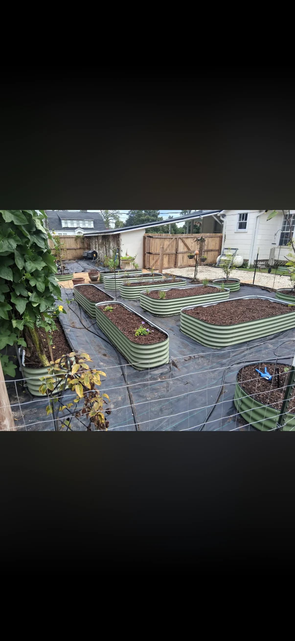 Gallery photos for Raised Bed Garden Build with Irrigation and Solar Lighting in Chipley FL: Image #1