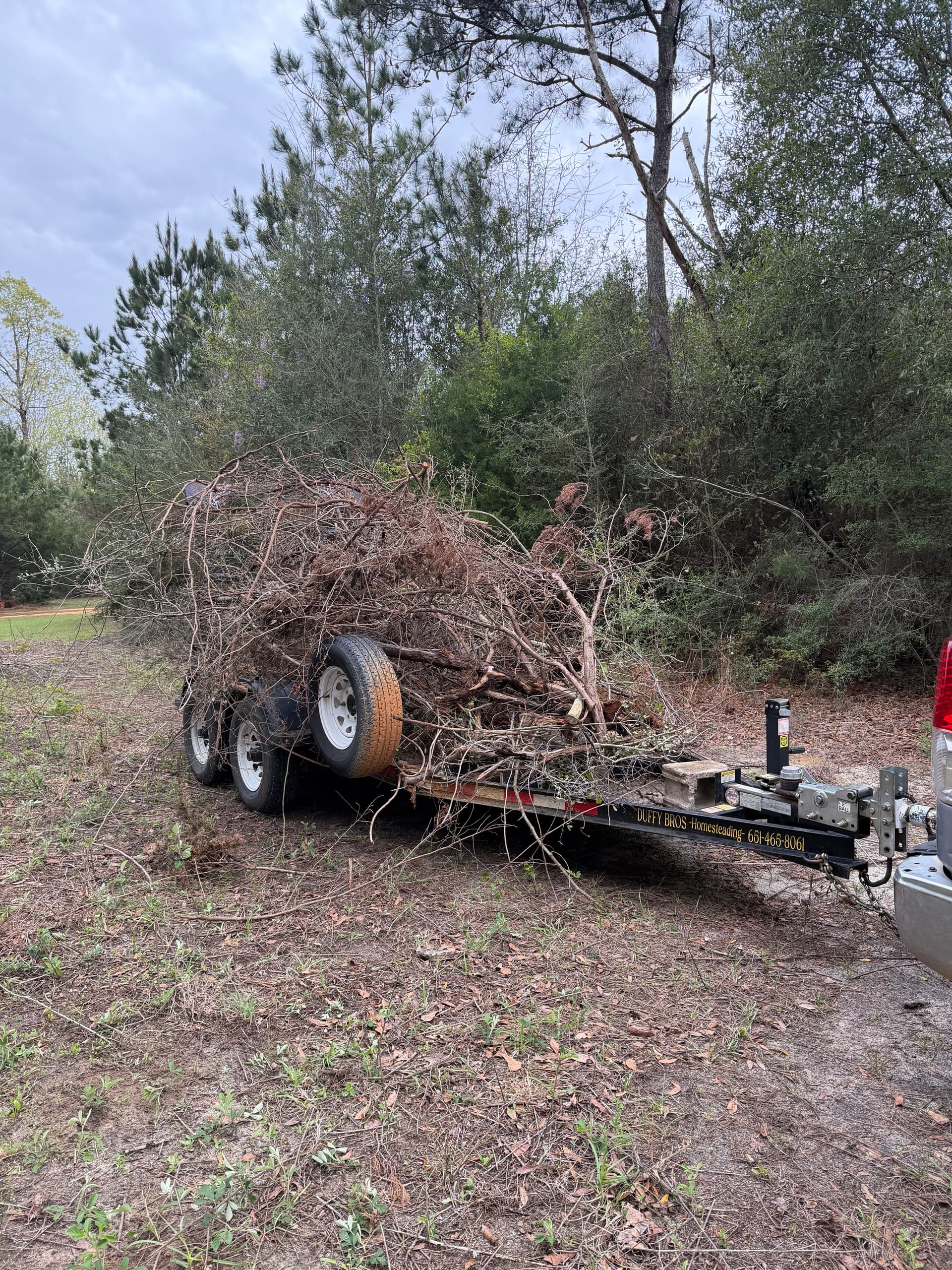 Gallery photos for From Brush to Barrier - Fence Restoration in Ponce de Leon: Image #2