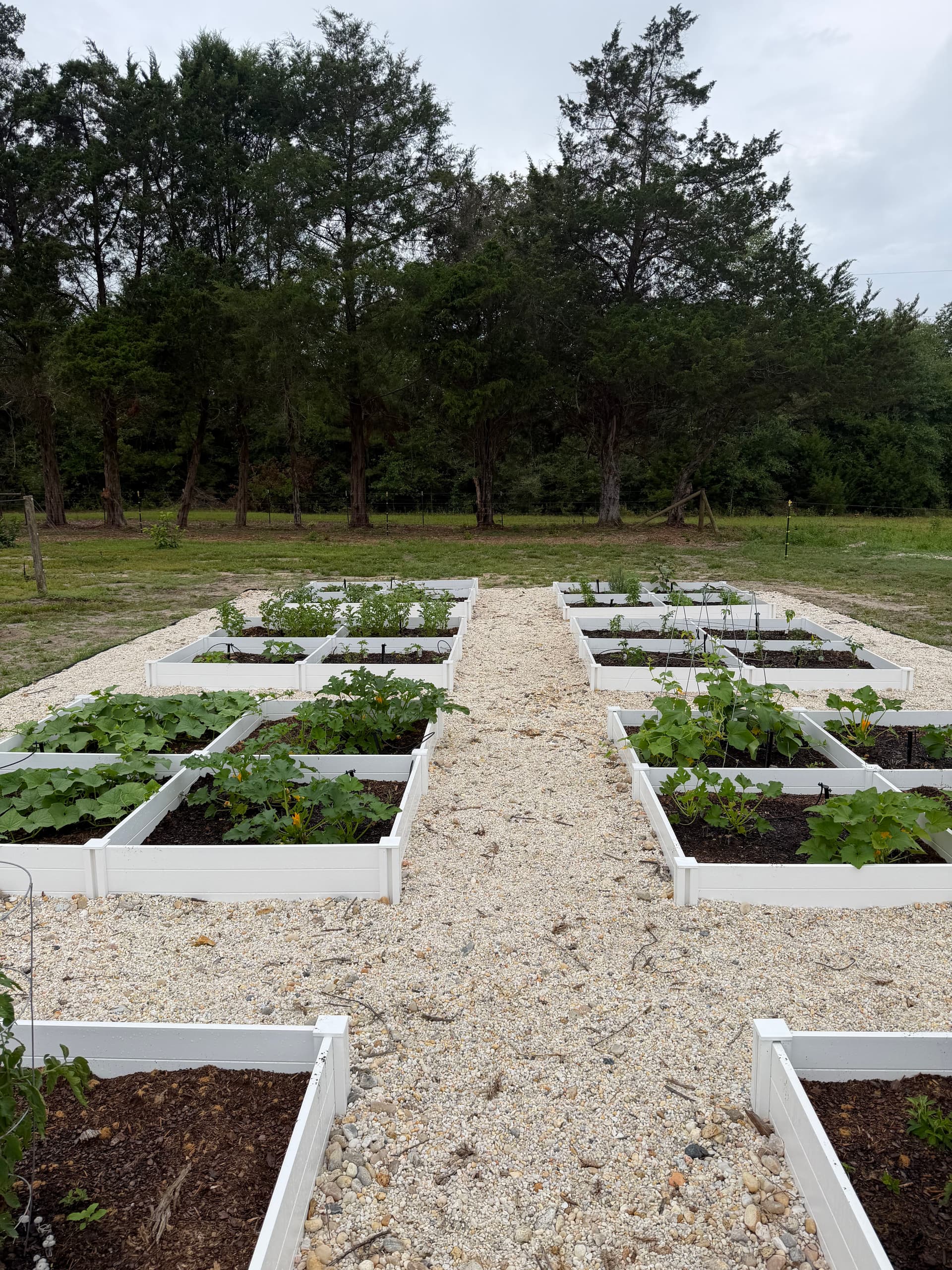 Gallery photos for Raised Bed Garden Builds in Navarre and Ponce De Leon: Image #4