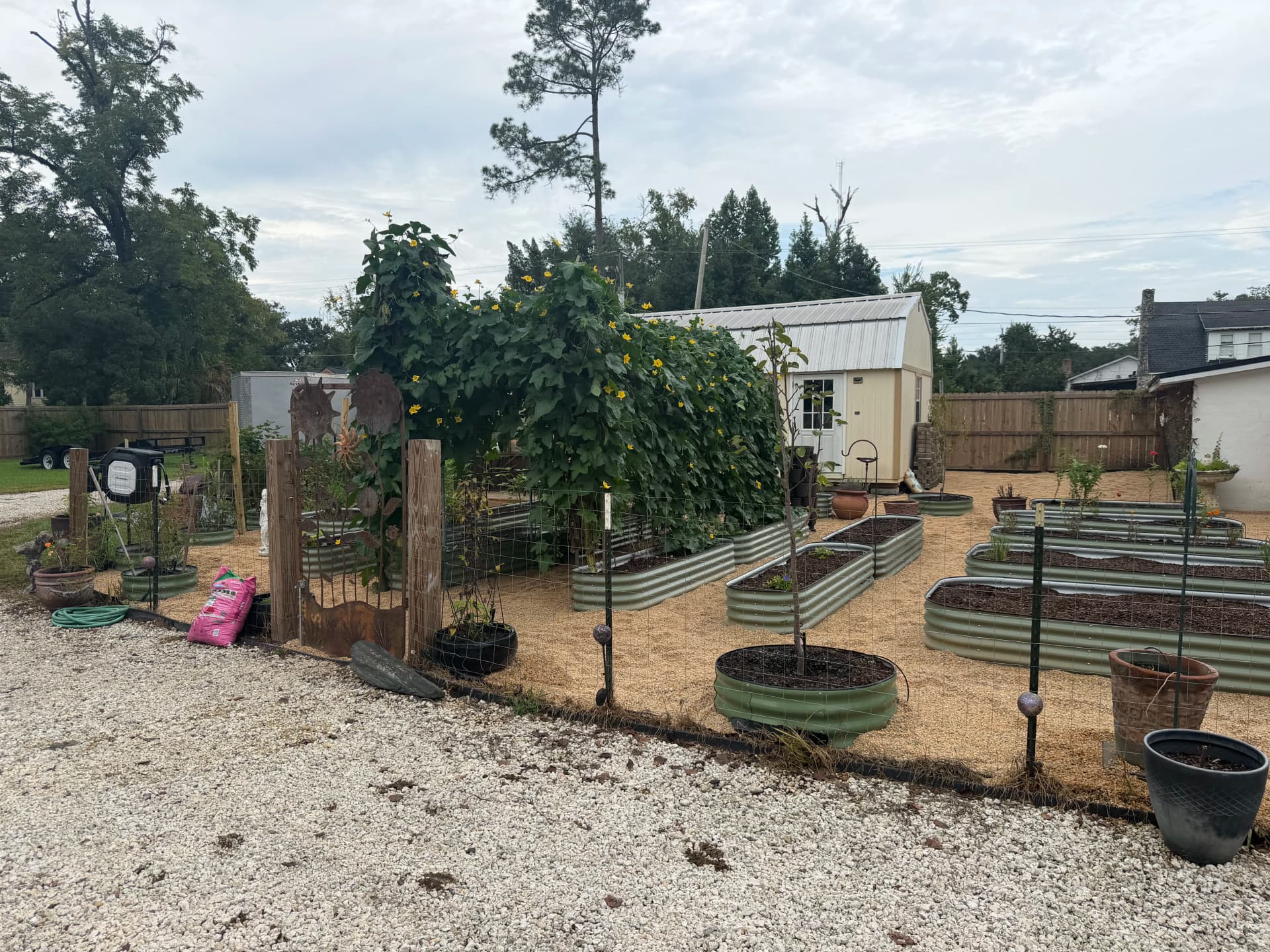 Gallery photos for Raised Bed Garden Build with Irrigation and Solar Lighting in Chipley FL: Image #8