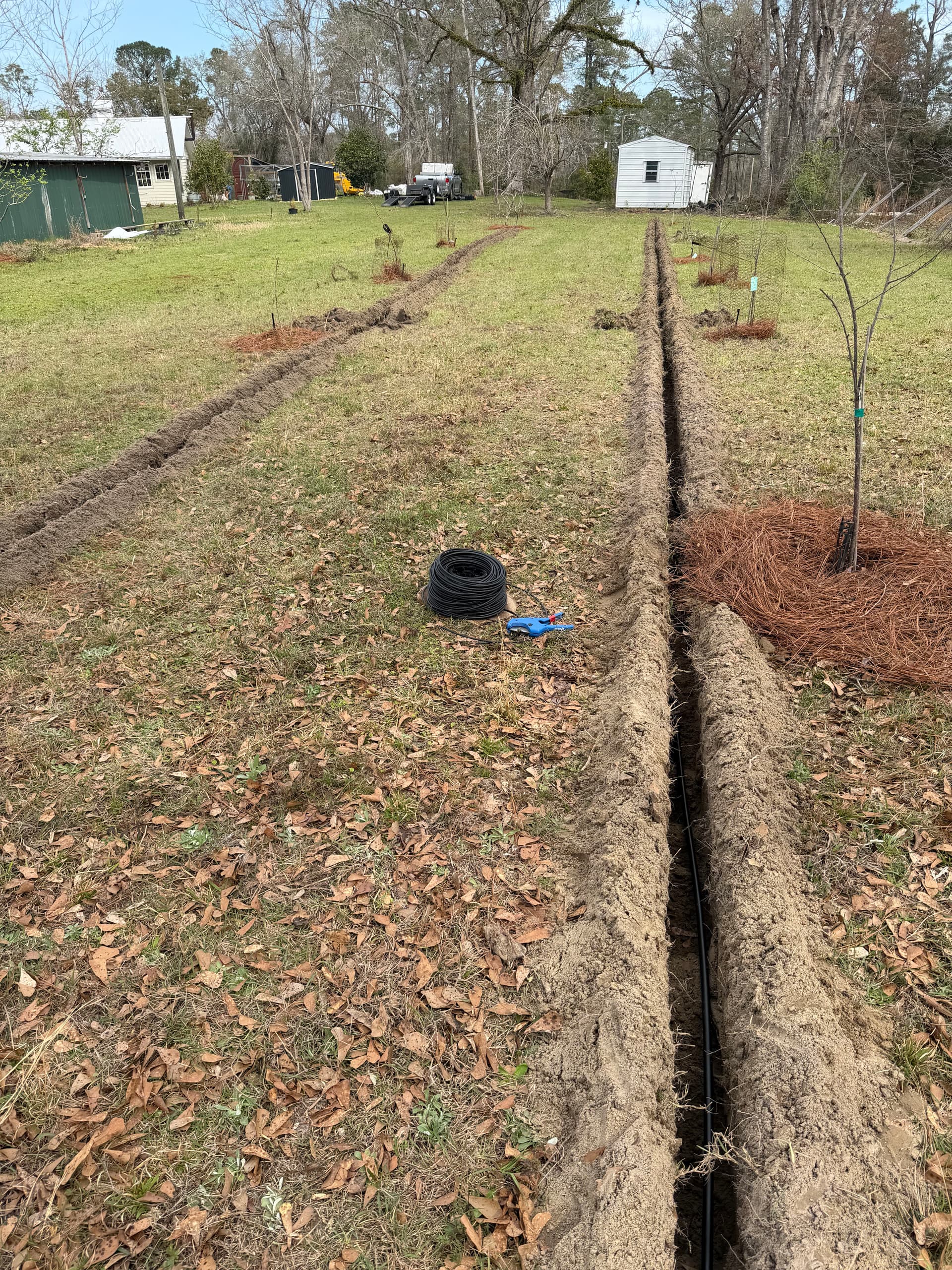 Gallery photos for Irrigation Installation Nurtures Young Orchard in Baker, Florida: Image #4